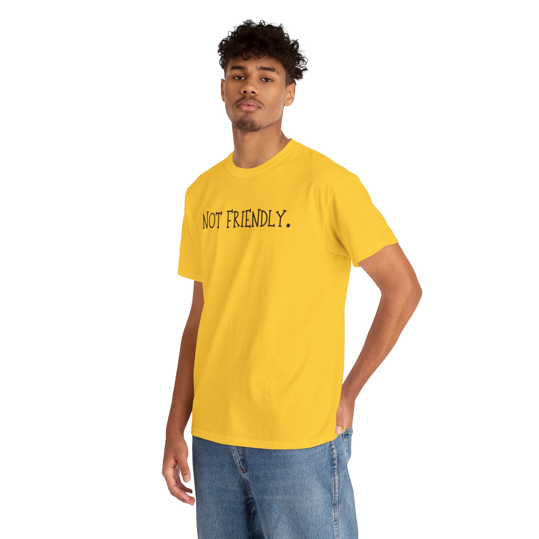 T-Shirt — "Not Friendly." Minimalist Statement Tee