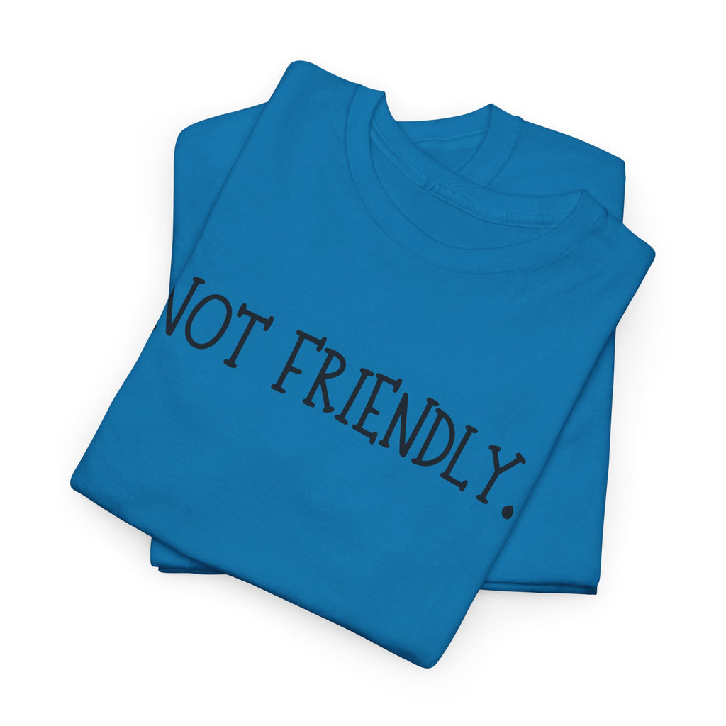 T-Shirt — "Not Friendly." Minimalist Statement Tee
