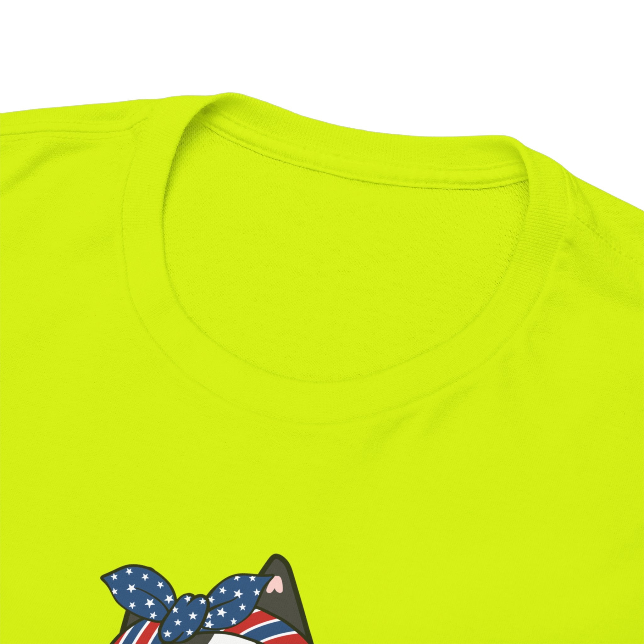 Cat Birthday Tee — "A Purr-fect Firecracker Was Born Today"