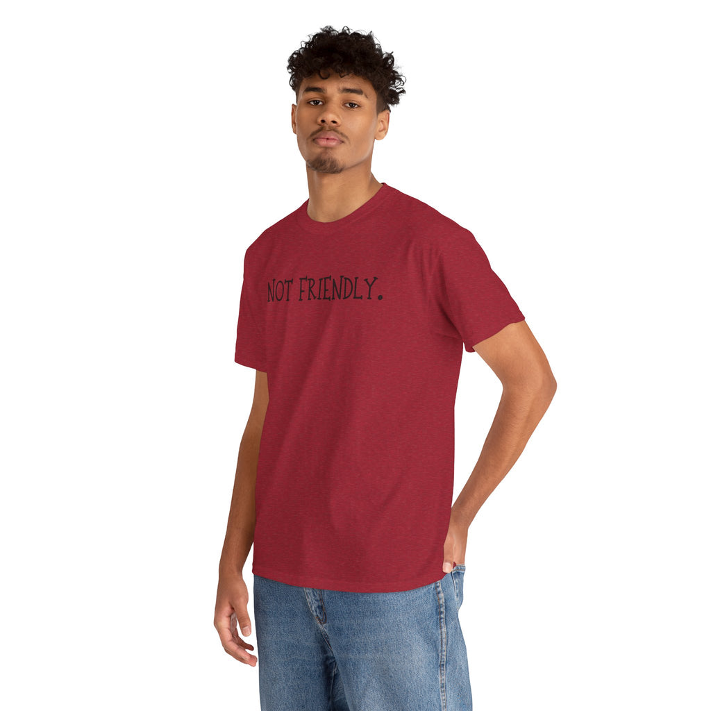 T-Shirt — "Not Friendly." Minimalist Statement Tee