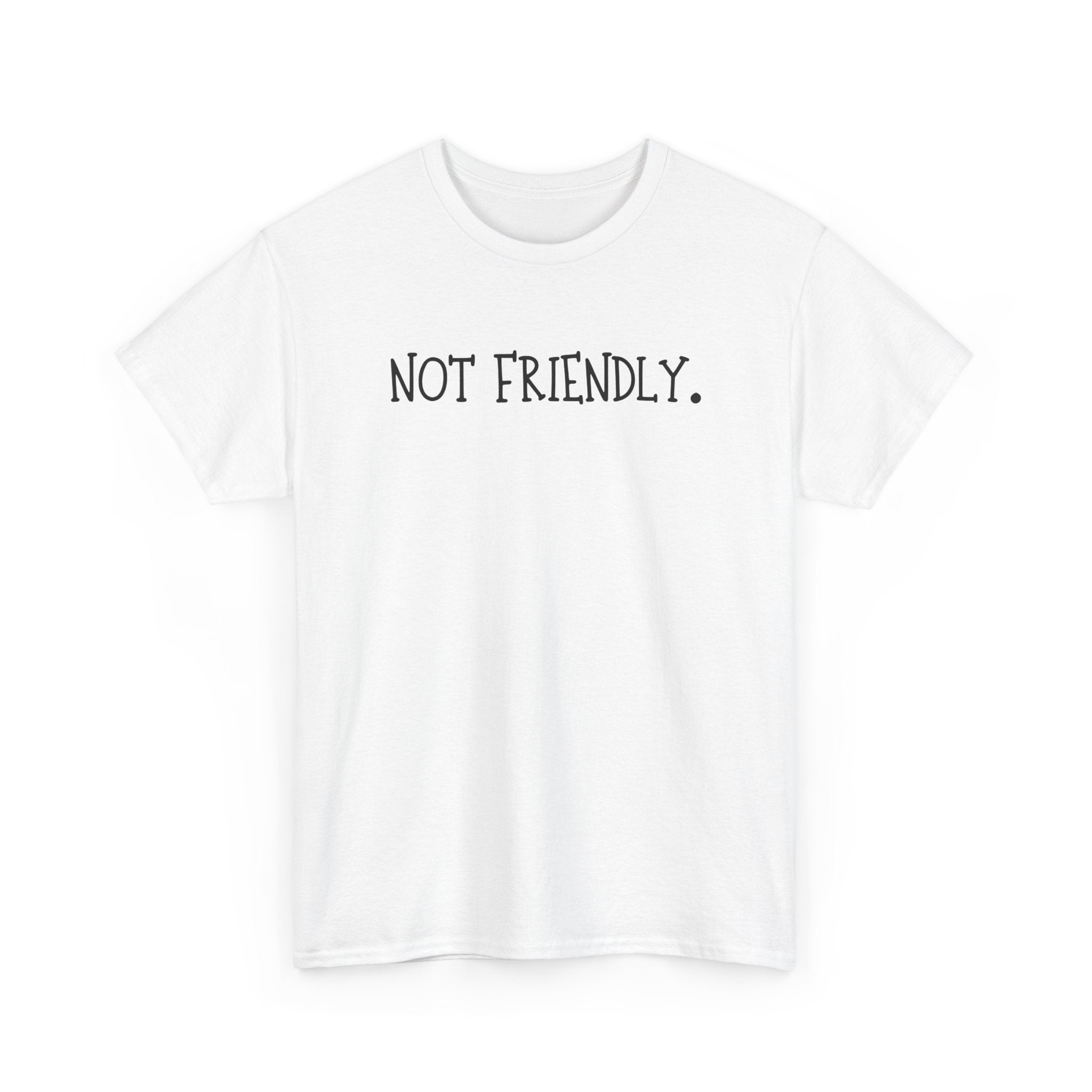 T-Shirt — "Not Friendly." Minimalist Statement Tee