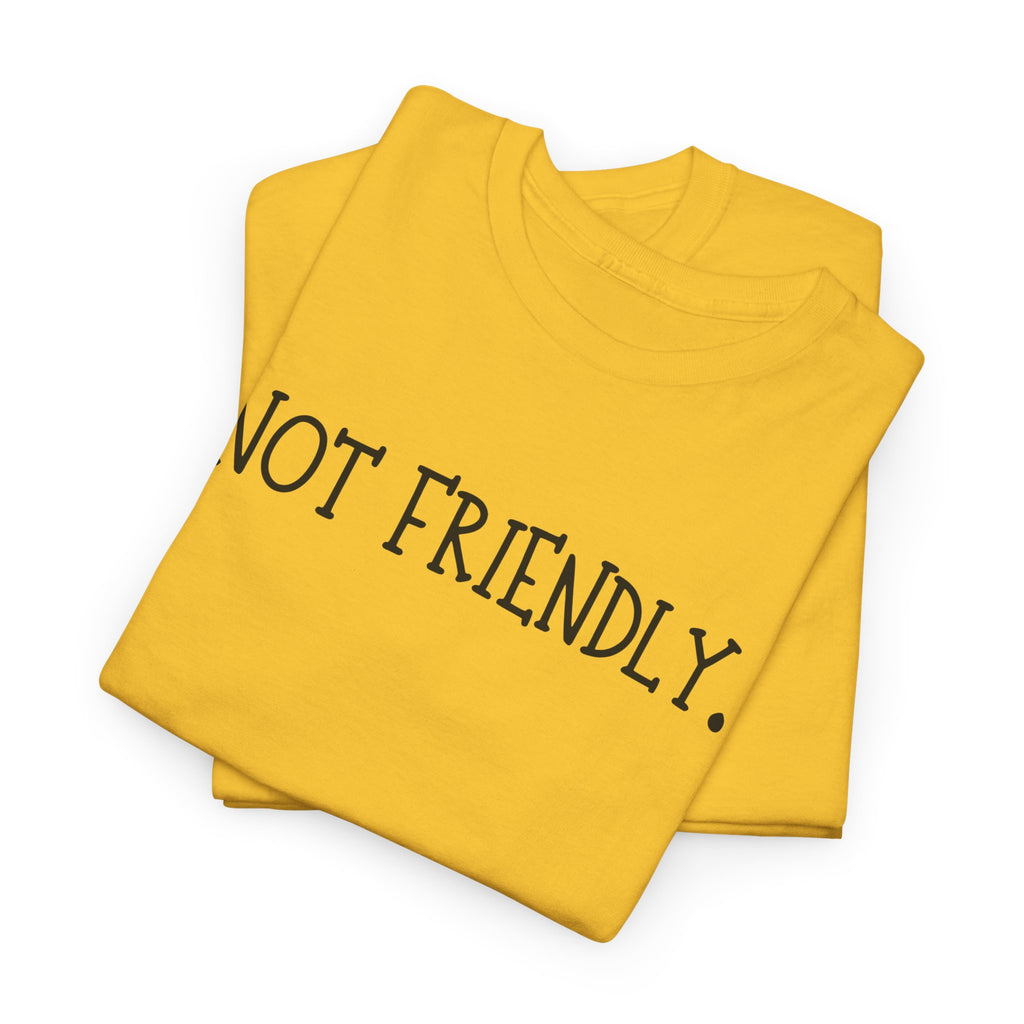 T-Shirt — "Not Friendly." Minimalist Statement Tee