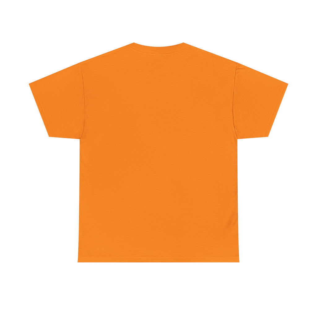 Cat Birthday Tee — "A Purr-fect Firecracker Was Born Today"