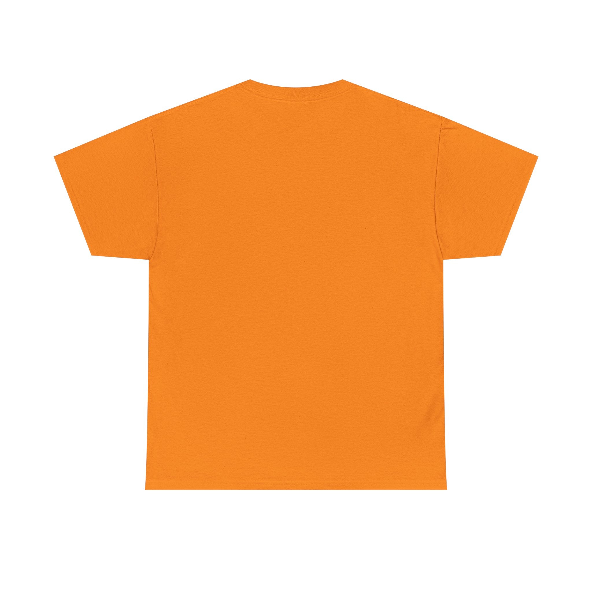 Cat Birthday Tee — "A Purr-fect Firecracker Was Born Today"