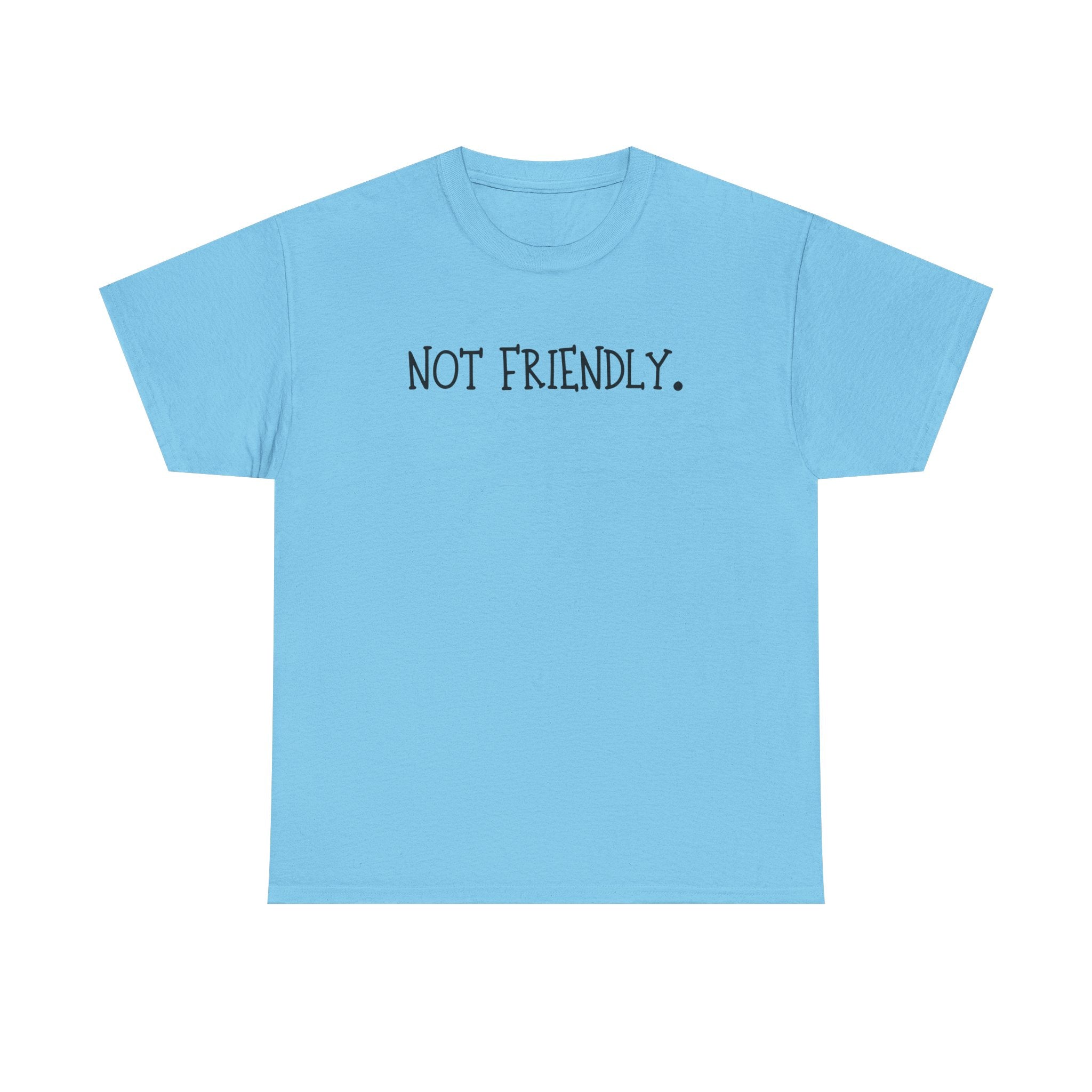T-Shirt — "Not Friendly." Minimalist Statement Tee