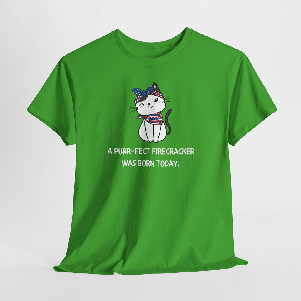 Cat Birthday Tee — "A Purr-fect Firecracker Was Born Today"