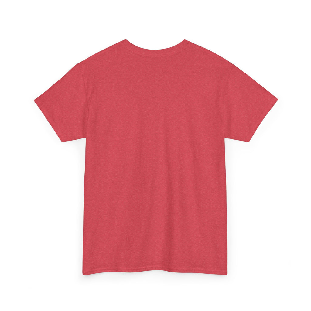 Cat Birthday Tee — "A Purr-fect Firecracker Was Born Today"