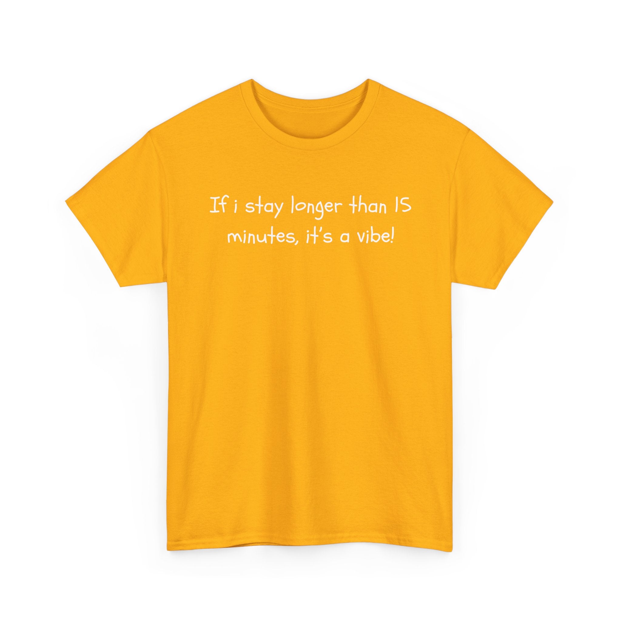 If I Stay Longer Than 15 Minutes It's a Vibe Tee — Funny Casual Graphic T-Shirt