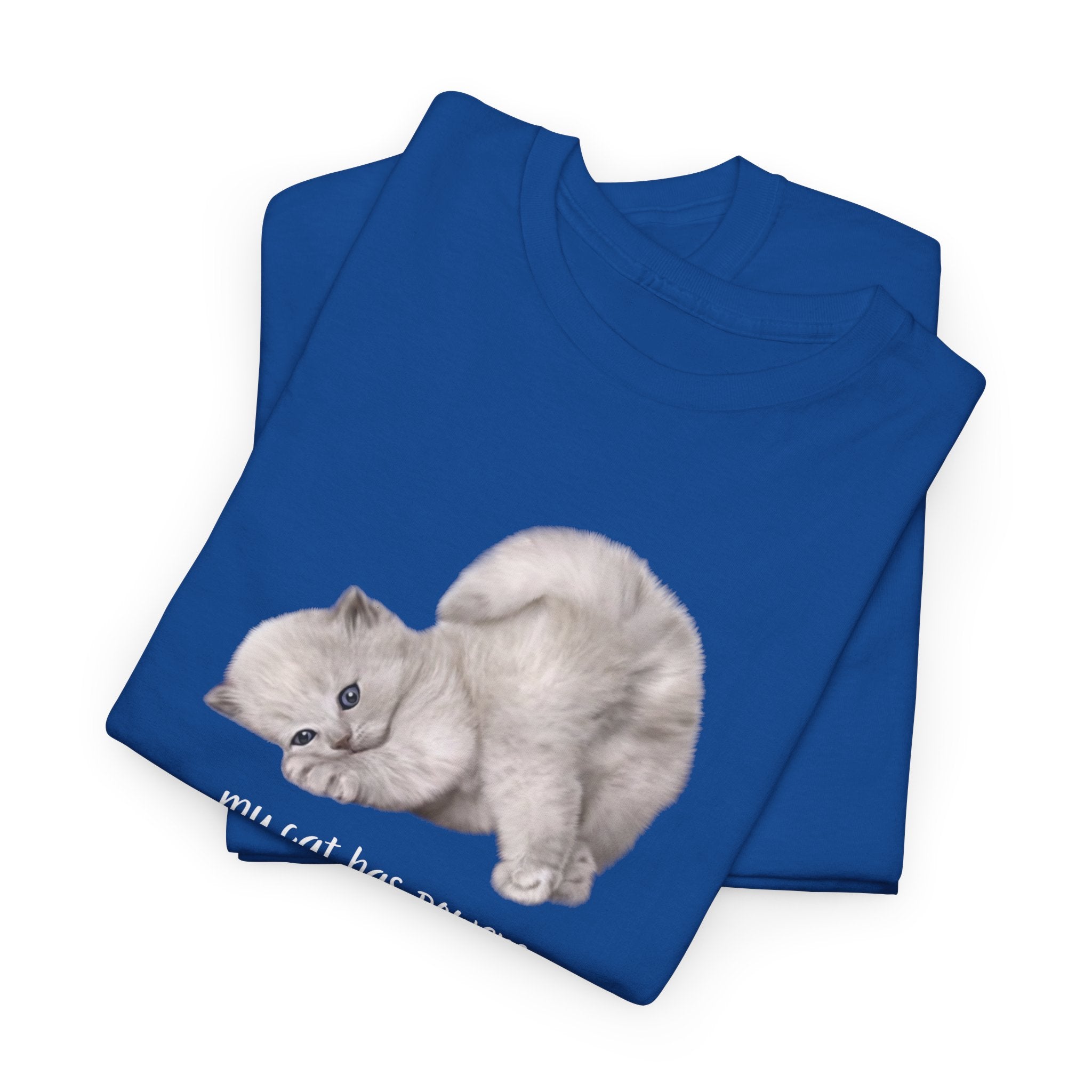 Cat T-Shirt – "My Cat Has Powers" Cute Stretching Cat Graphic Tee