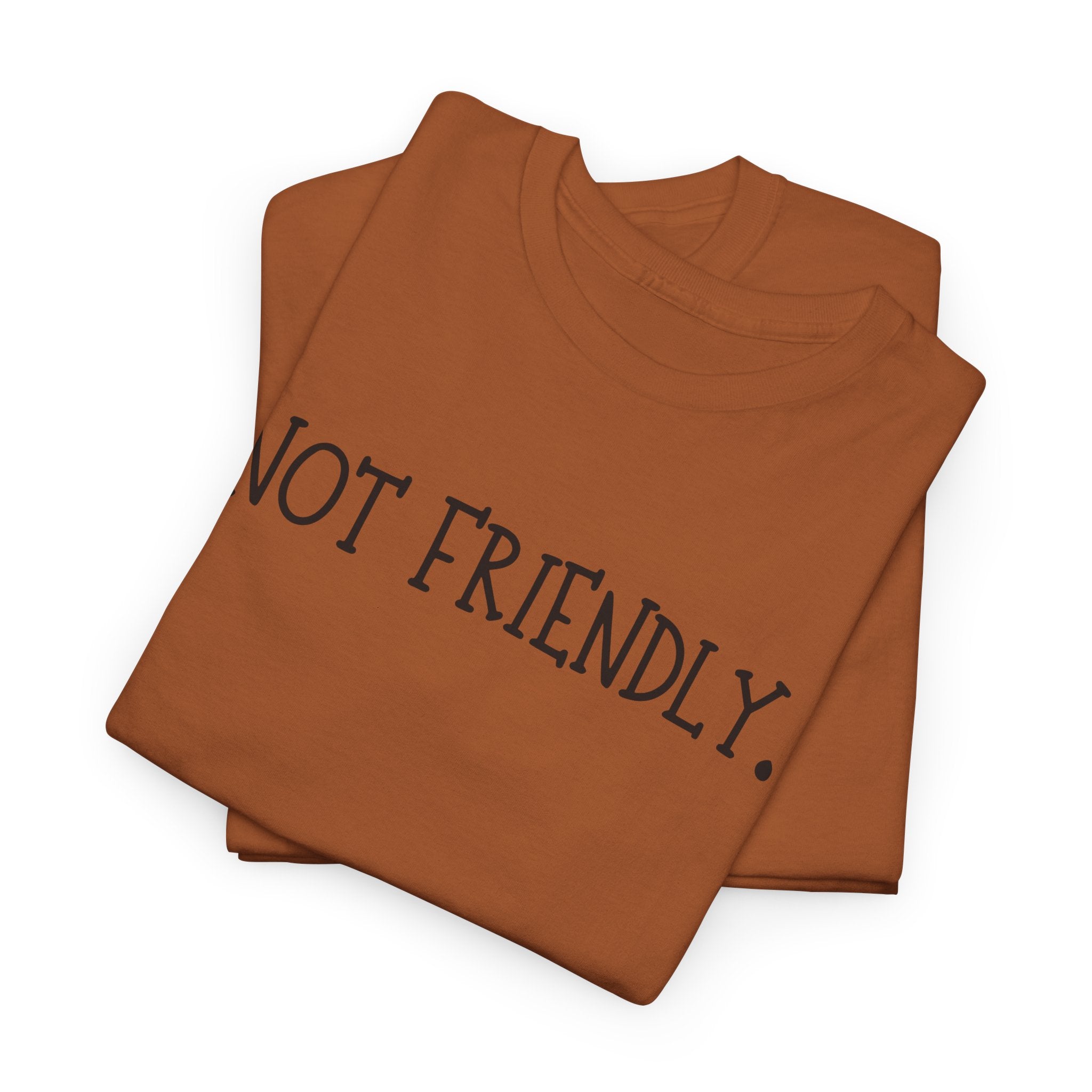 T-Shirt — "Not Friendly." Minimalist Statement Tee