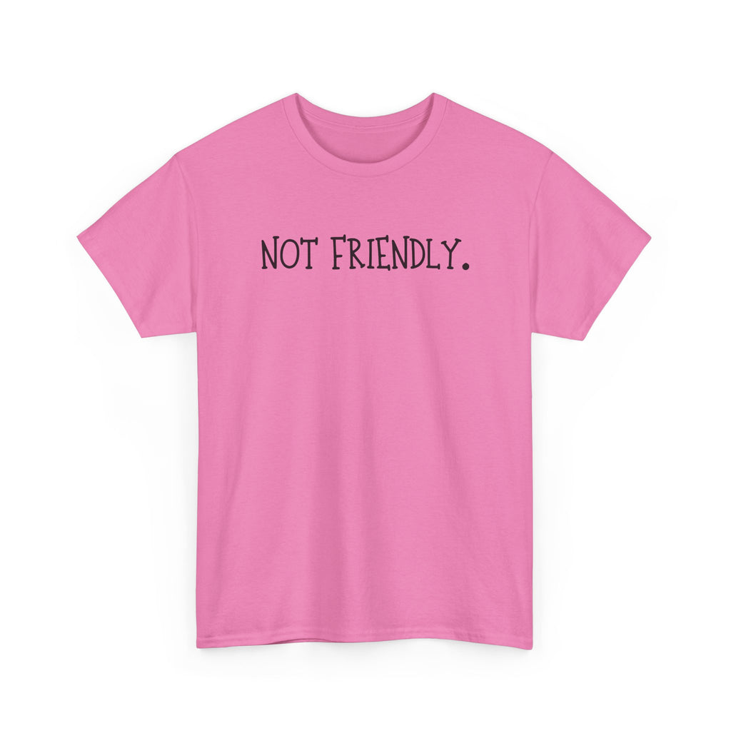 T-Shirt — "Not Friendly." Minimalist Statement Tee