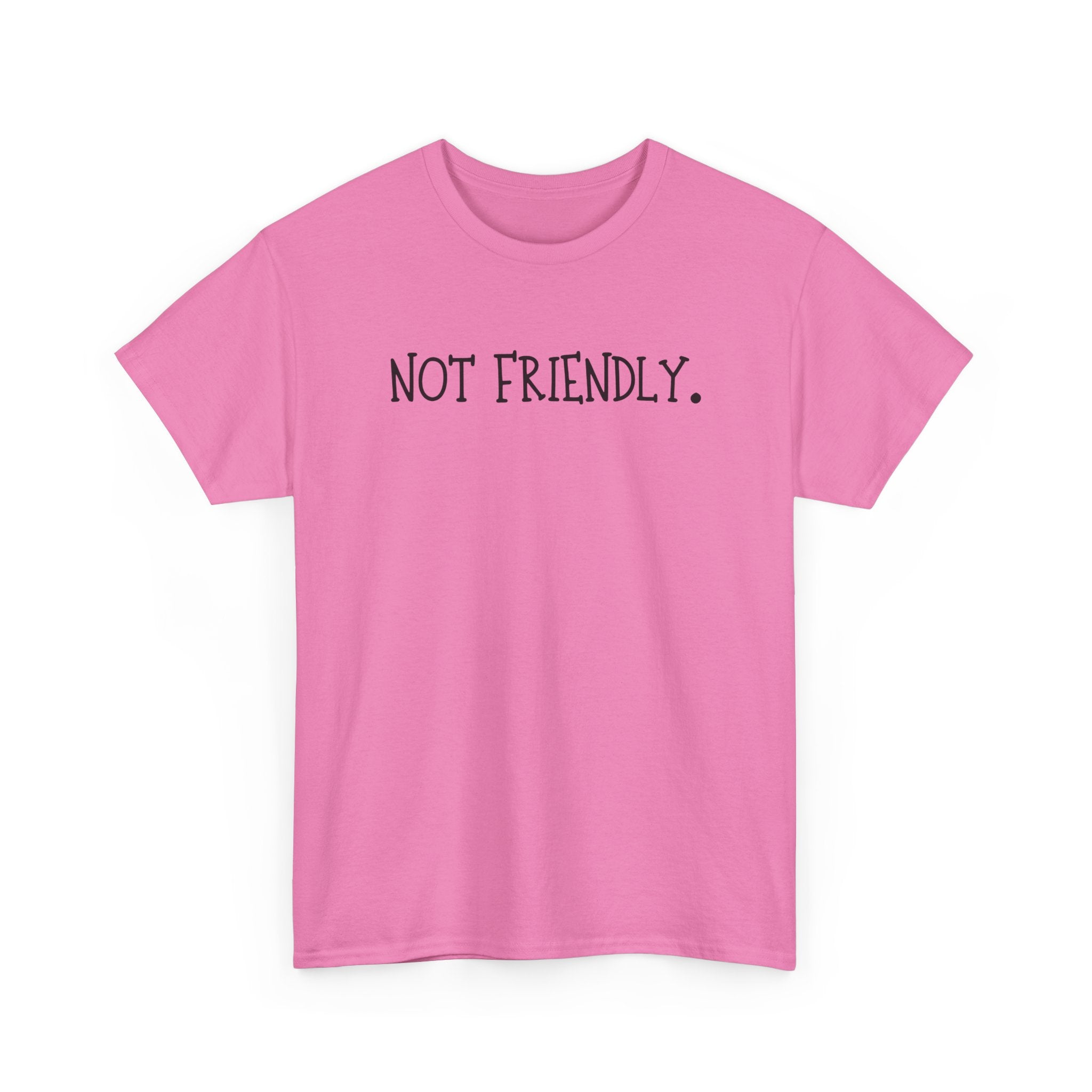 T-Shirt — "Not Friendly." Minimalist Statement Tee