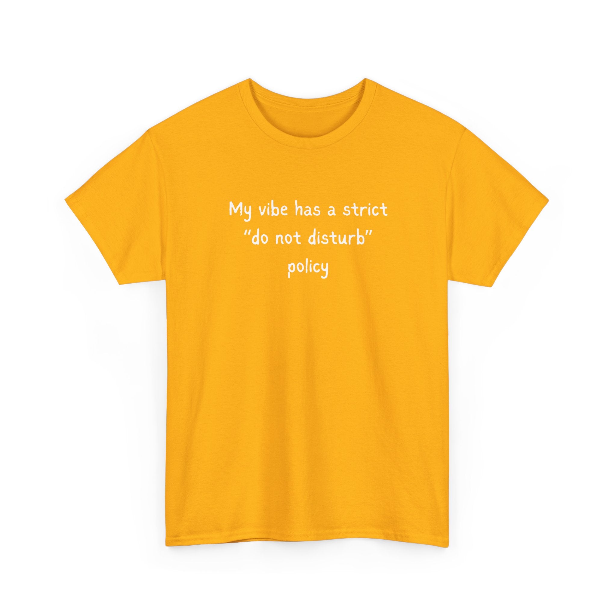 Do Not Disturb Tee — “My vibe has a strict ‘do not disturb’ policy” Graphic T-Shirt