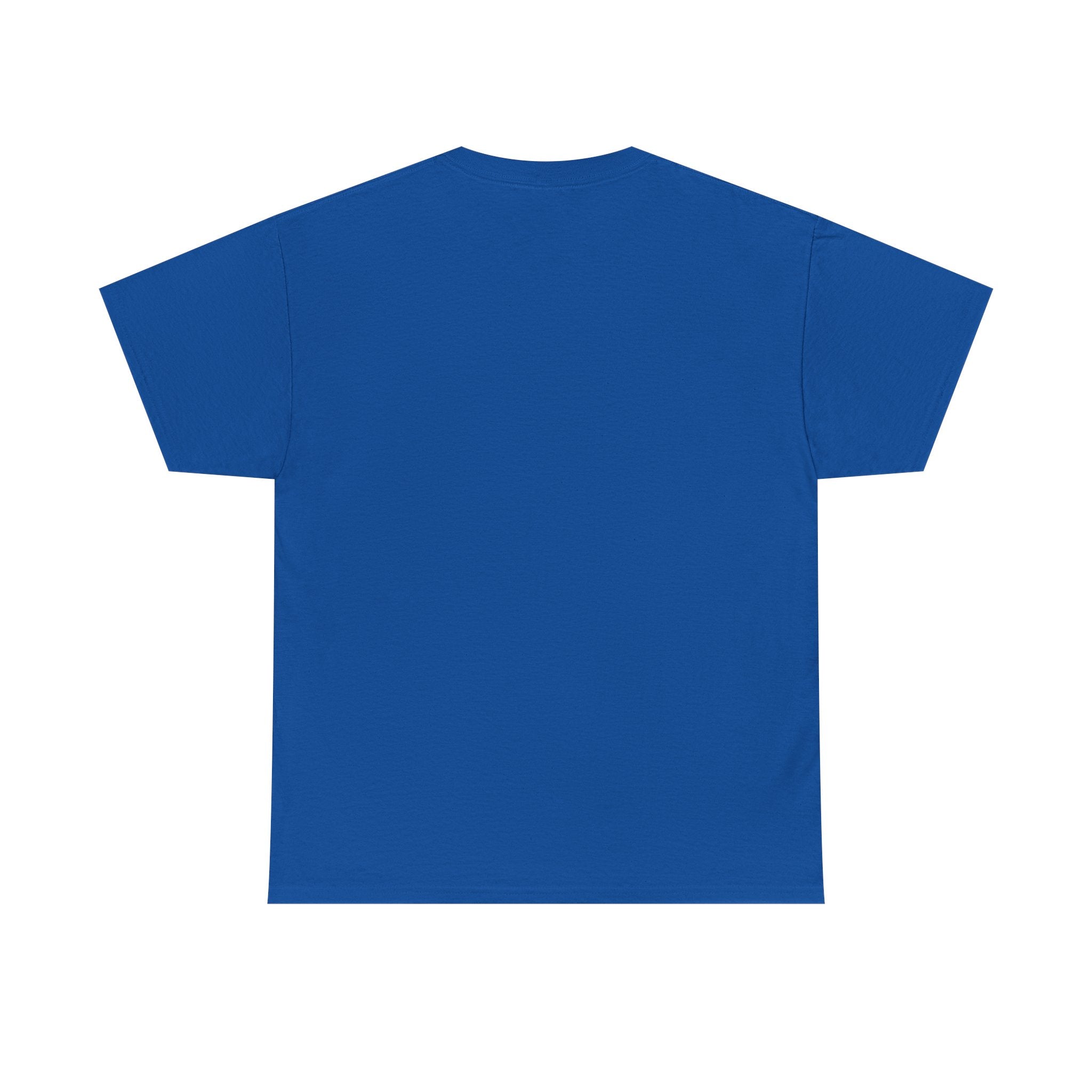 I Got It Baseball Duck T‑Shirt — Funny Catcher Graphic Tee