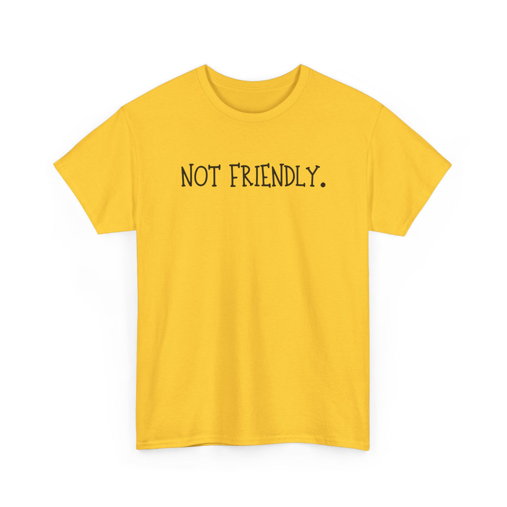 T-Shirt — "Not Friendly." Minimalist Statement Tee