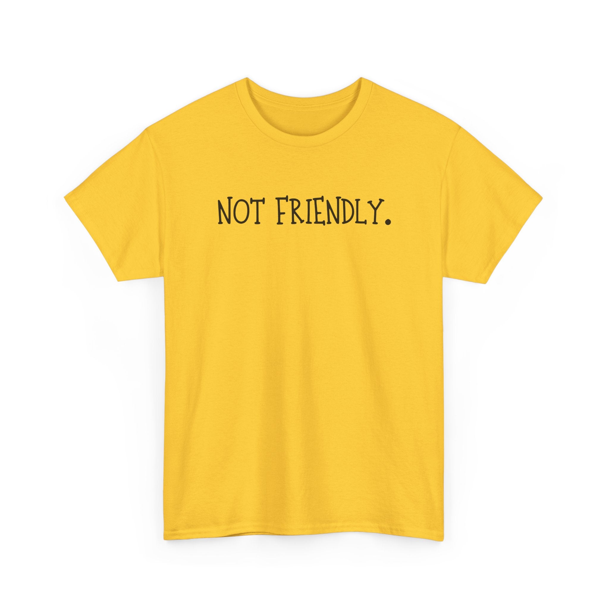 T-Shirt — "Not Friendly." Minimalist Statement Tee