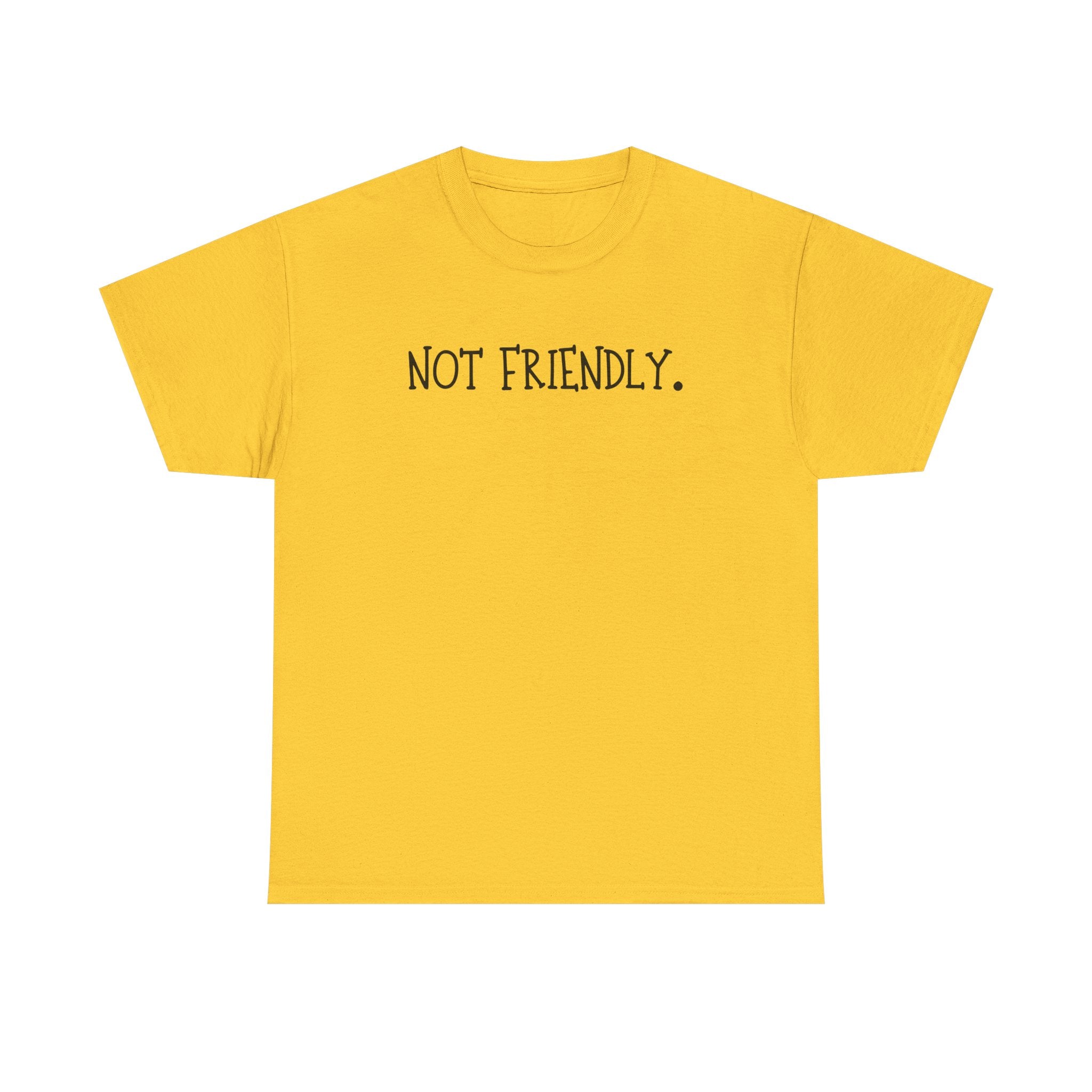 T-Shirt — "Not Friendly." Minimalist Statement Tee