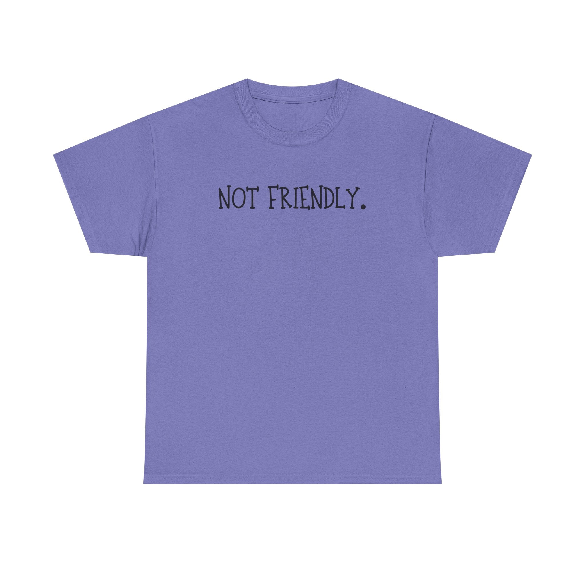 T-Shirt — "Not Friendly." Minimalist Statement Tee