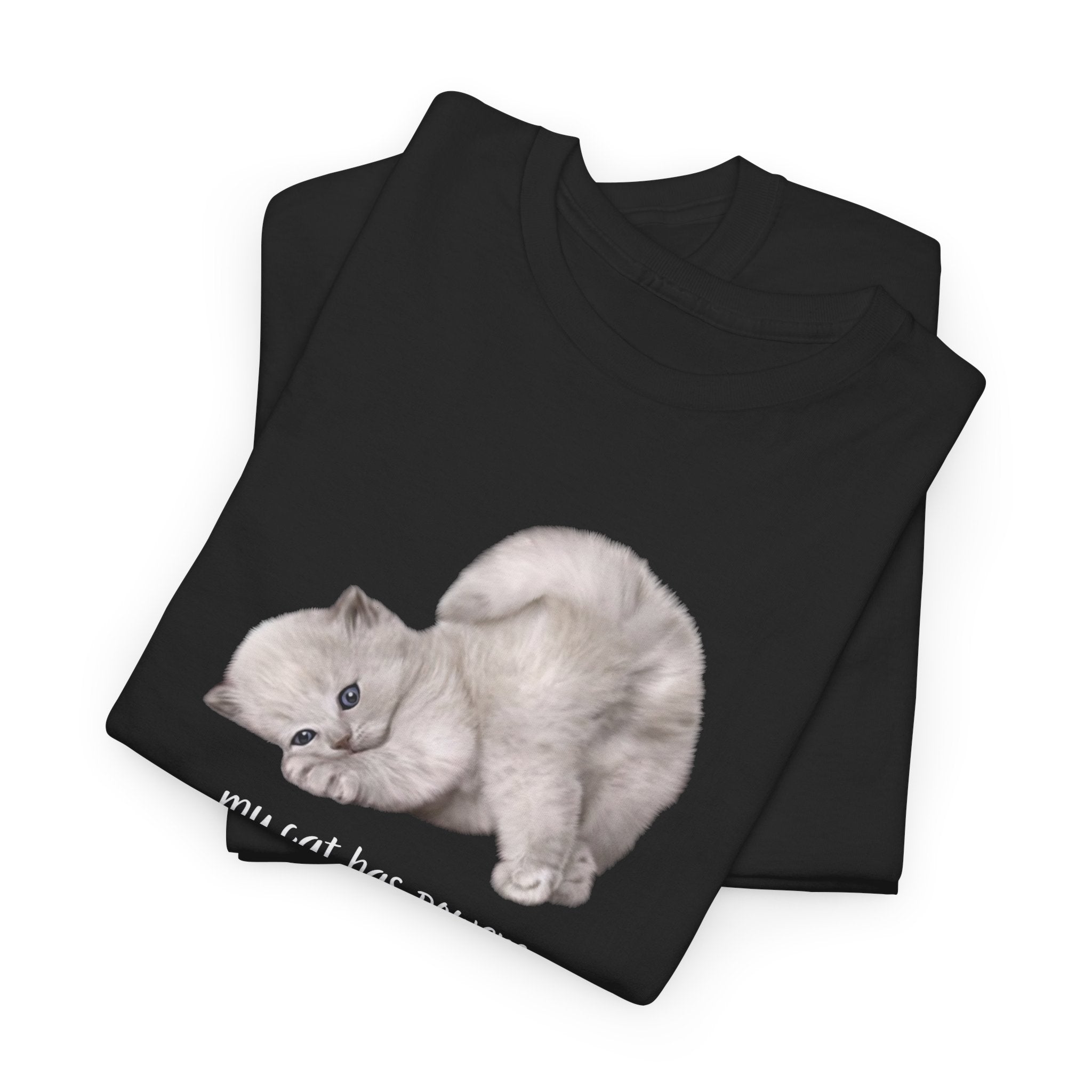 Cat T-Shirt – "My Cat Has Powers" Cute Stretching Cat Graphic Tee