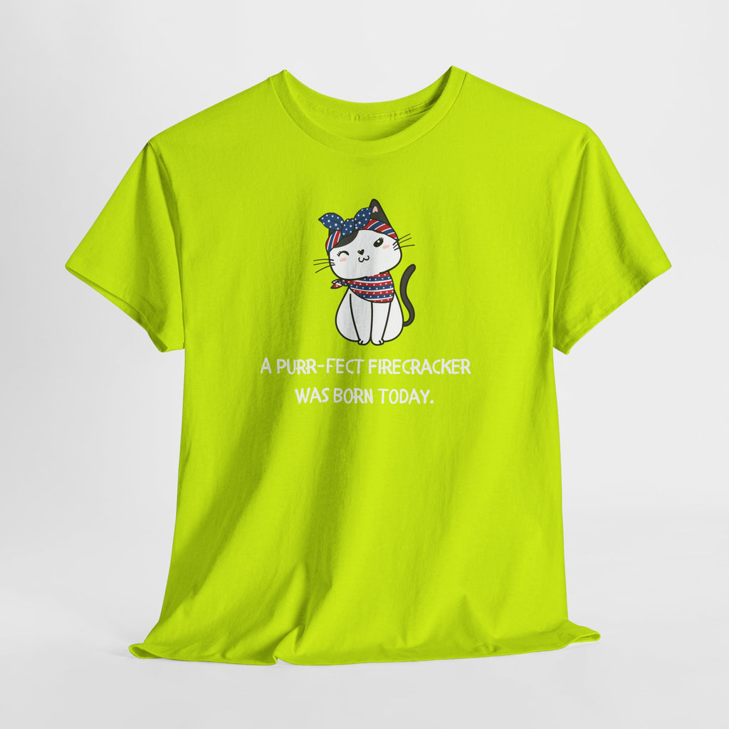 Cat Birthday Tee — "A Purr-fect Firecracker Was Born Today"