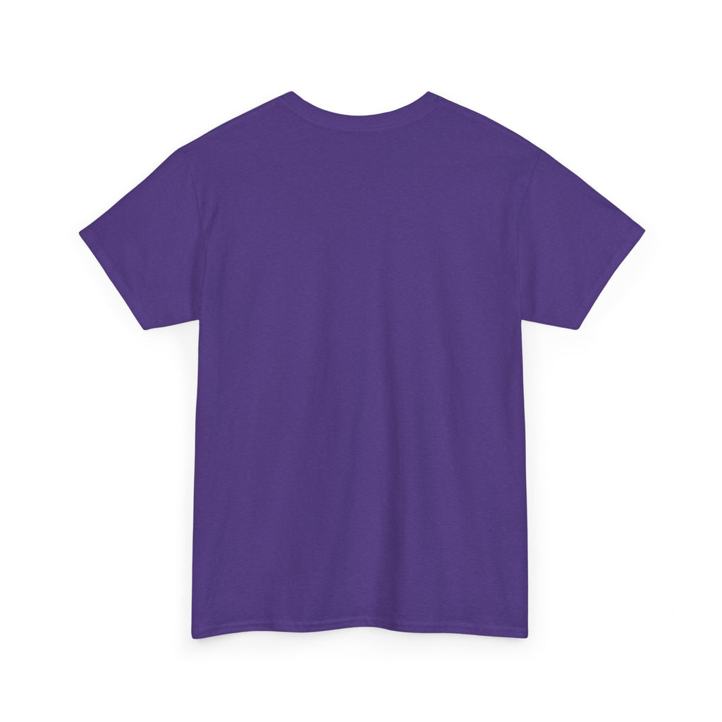 Cat Birthday Tee — "A Purr-fect Firecracker Was Born Today"
