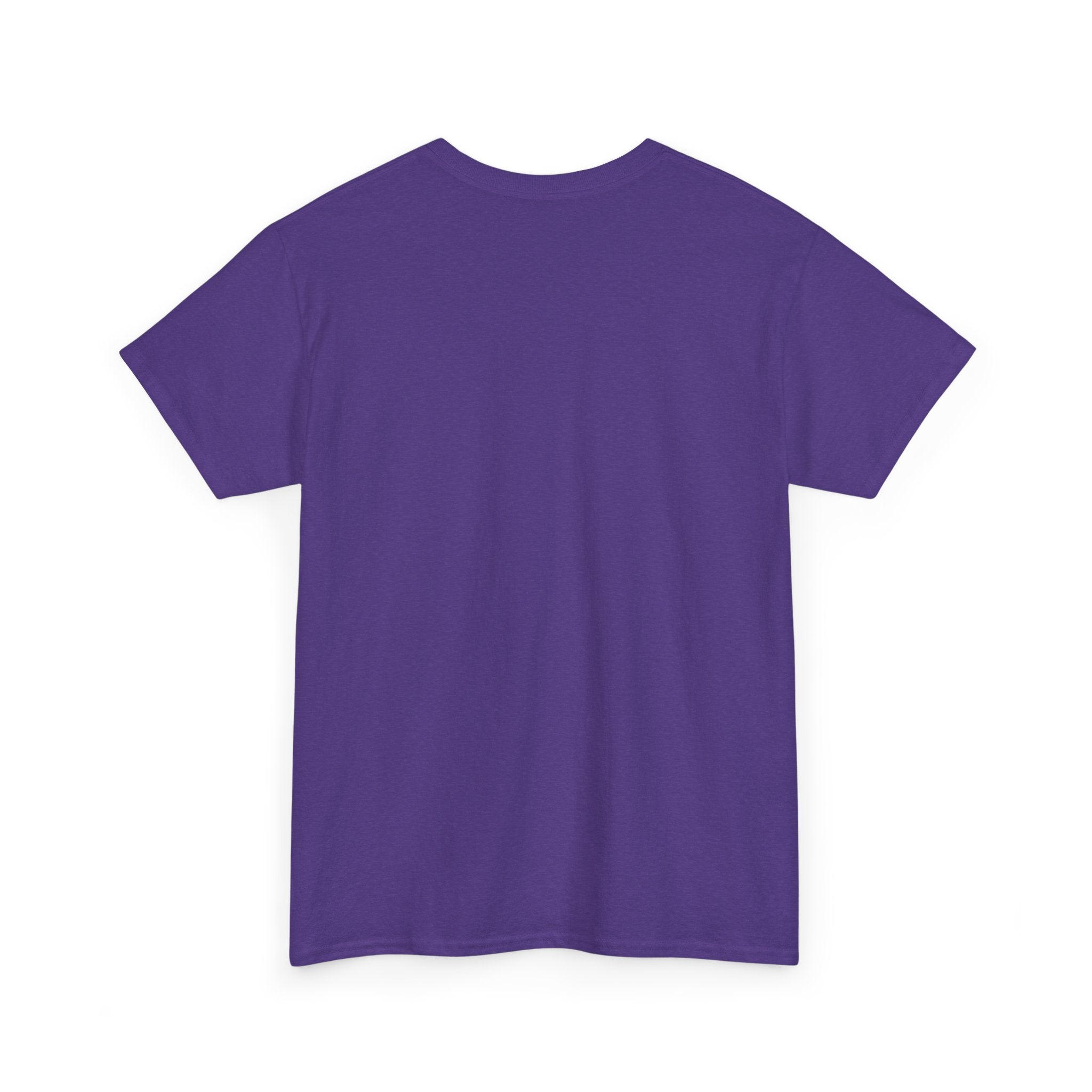 Cat Birthday Tee — "A Purr-fect Firecracker Was Born Today"