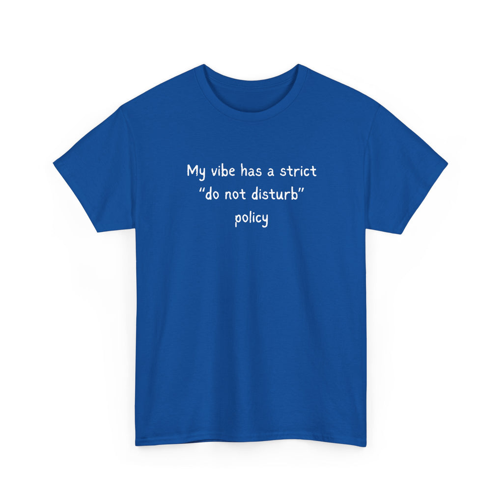 Do Not Disturb Tee — “My vibe has a strict ‘do not disturb’ policy” Graphic T-Shirt