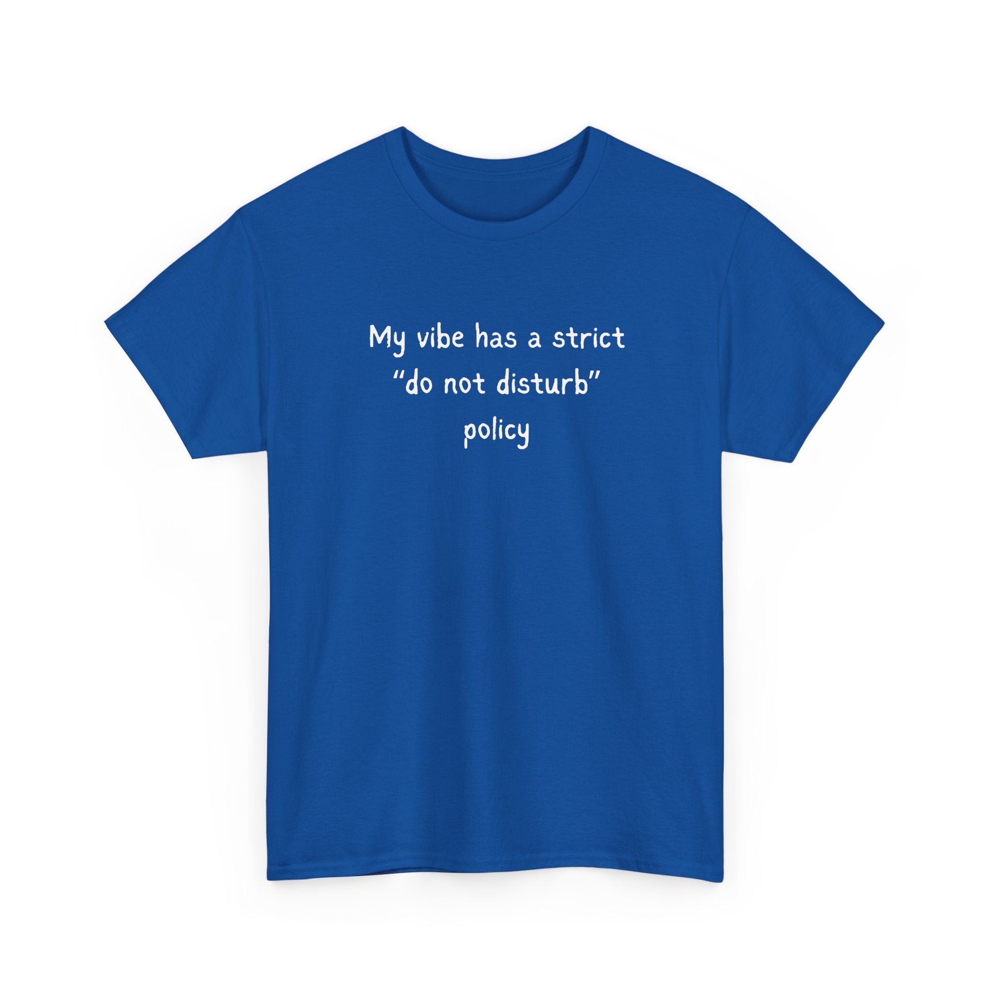 Do Not Disturb Tee — “My vibe has a strict ‘do not disturb’ policy” Graphic T-Shirt