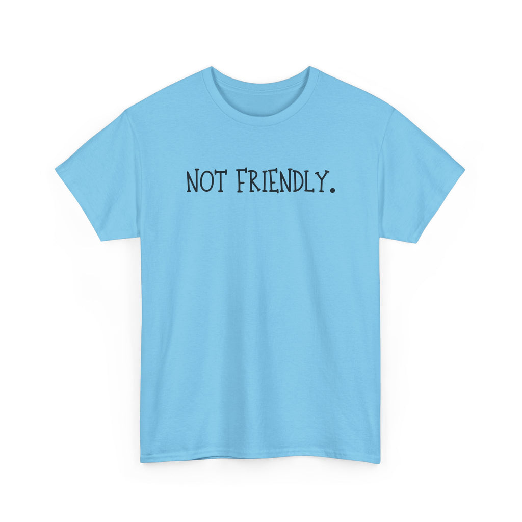 T-Shirt — "Not Friendly." Minimalist Statement Tee