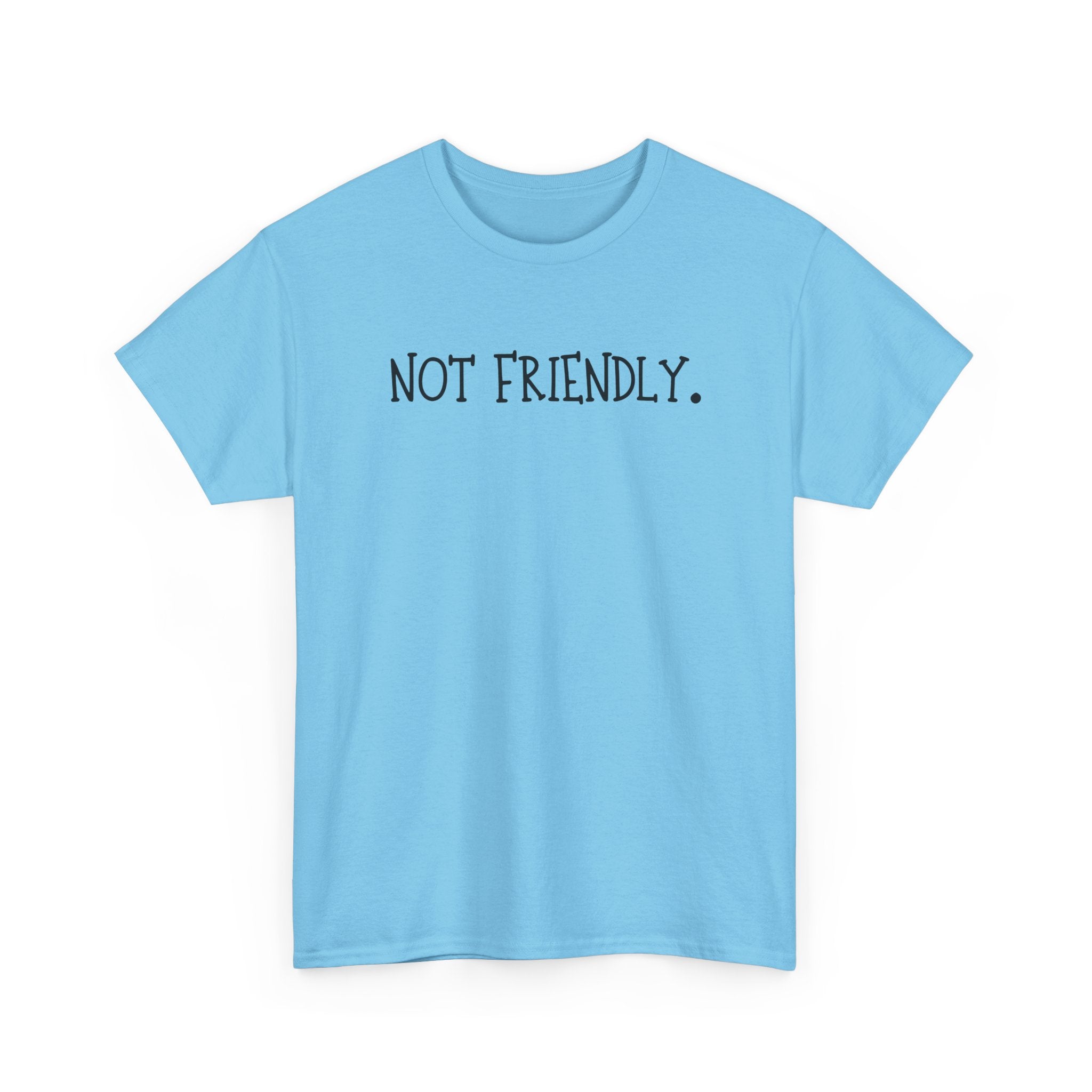 T-Shirt — "Not Friendly." Minimalist Statement Tee
