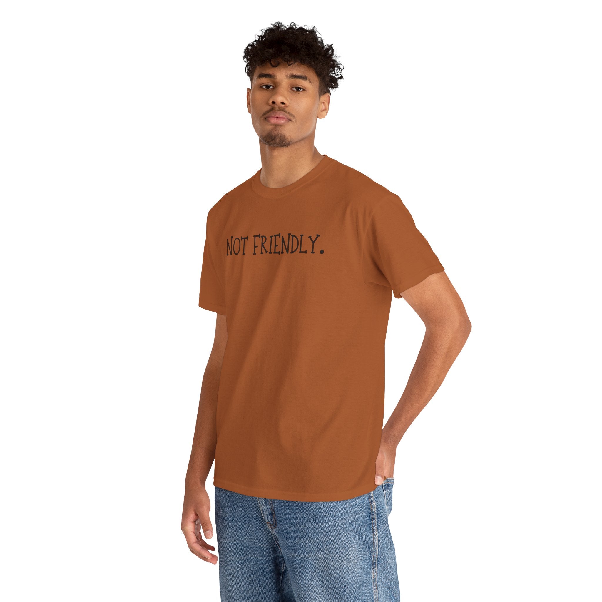 T-Shirt — "Not Friendly." Minimalist Statement Tee