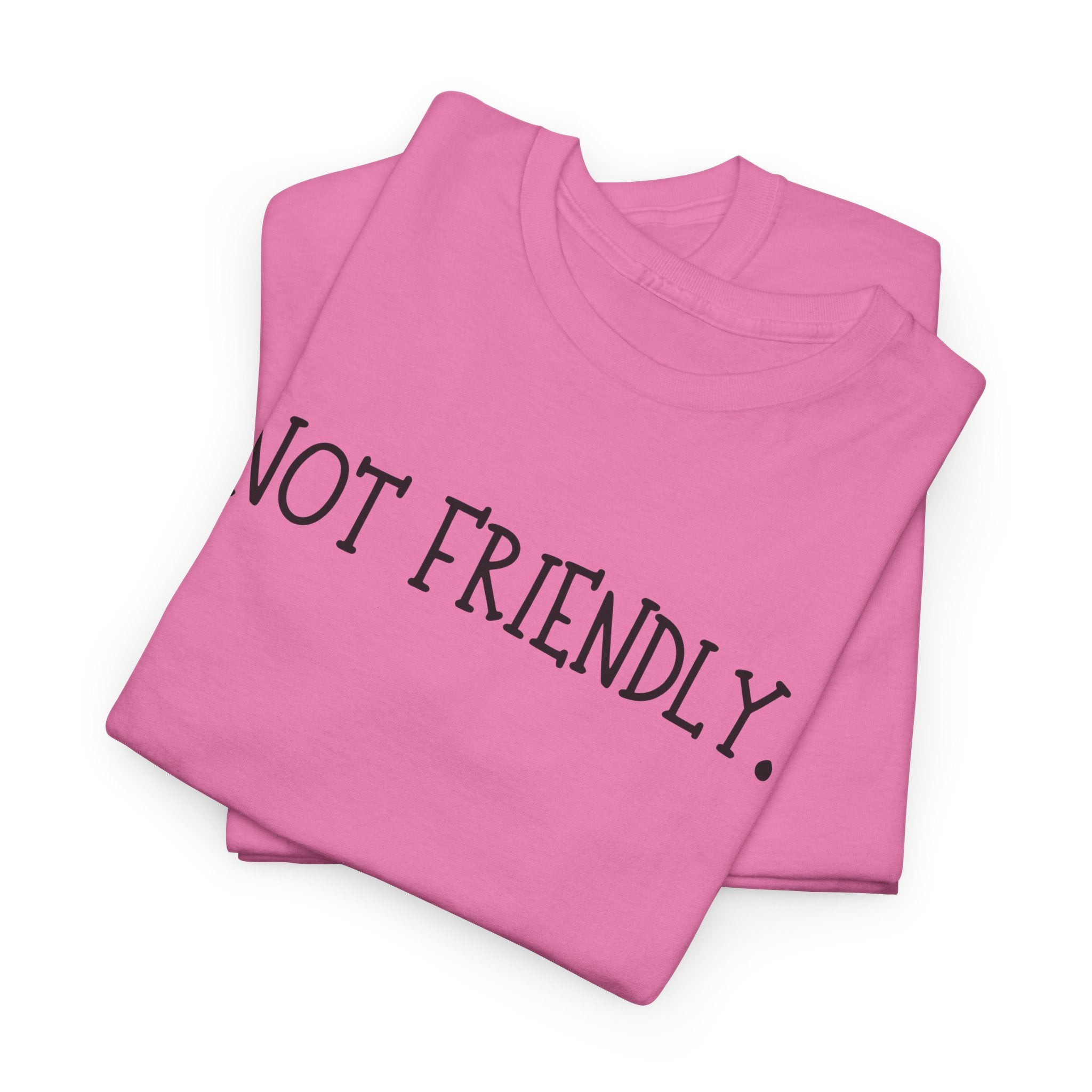 T-Shirt — "Not Friendly." Minimalist Statement Tee