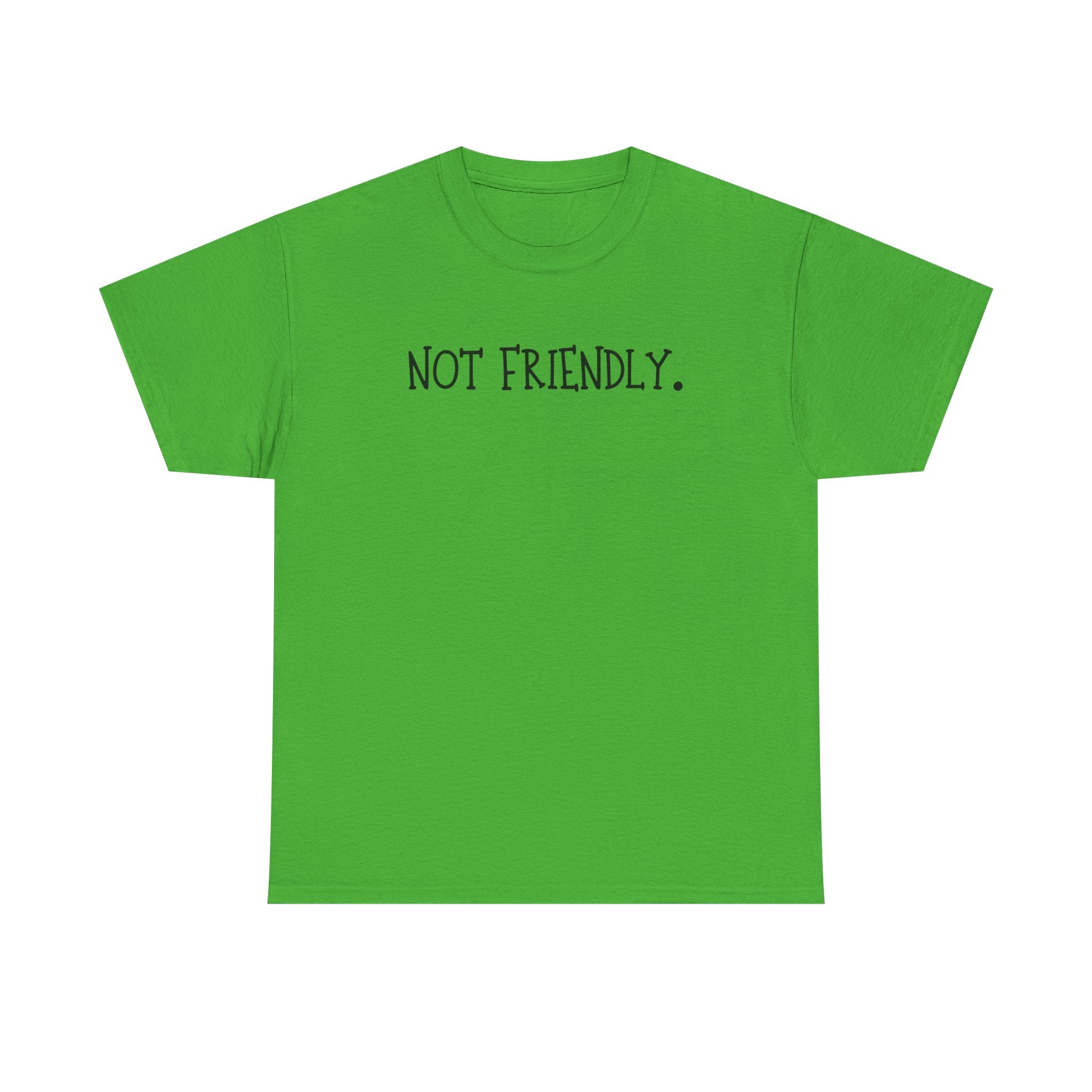 T-Shirt — "Not Friendly." Minimalist Statement Tee