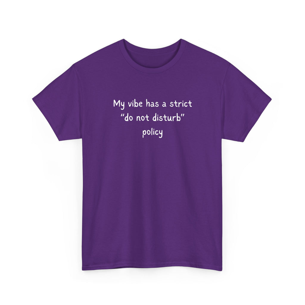 Do Not Disturb Tee — “My vibe has a strict ‘do not disturb’ policy” Graphic T-Shirt
