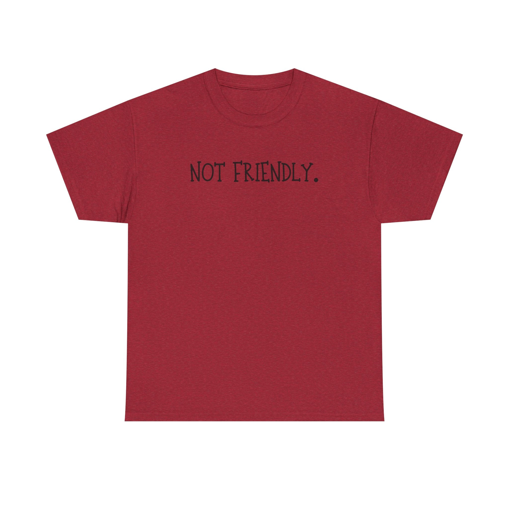 T-Shirt — "Not Friendly." Minimalist Statement Tee