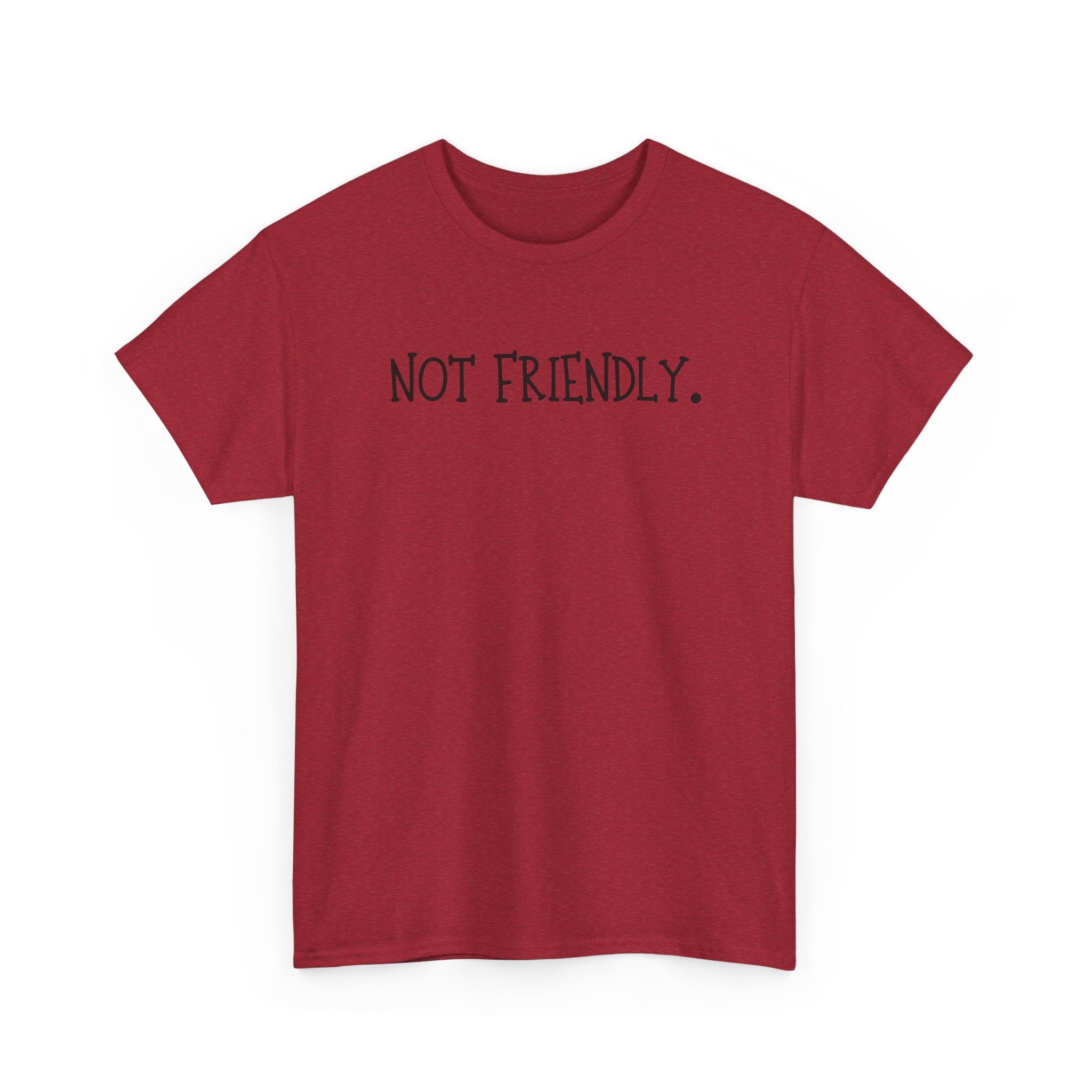 T-Shirt — "Not Friendly." Minimalist Statement Tee