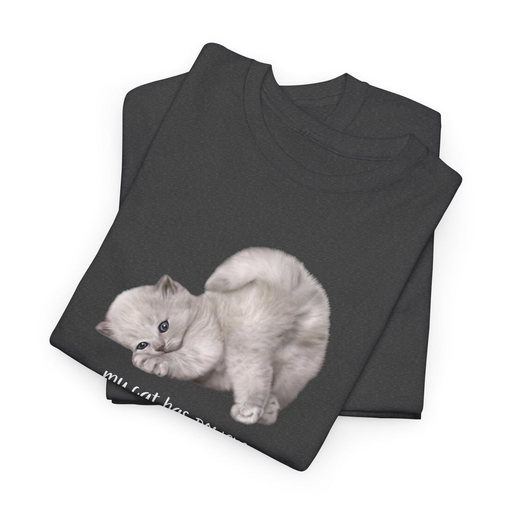 Cat T-Shirt – "My Cat Has Powers" Cute Stretching Cat Graphic Tee