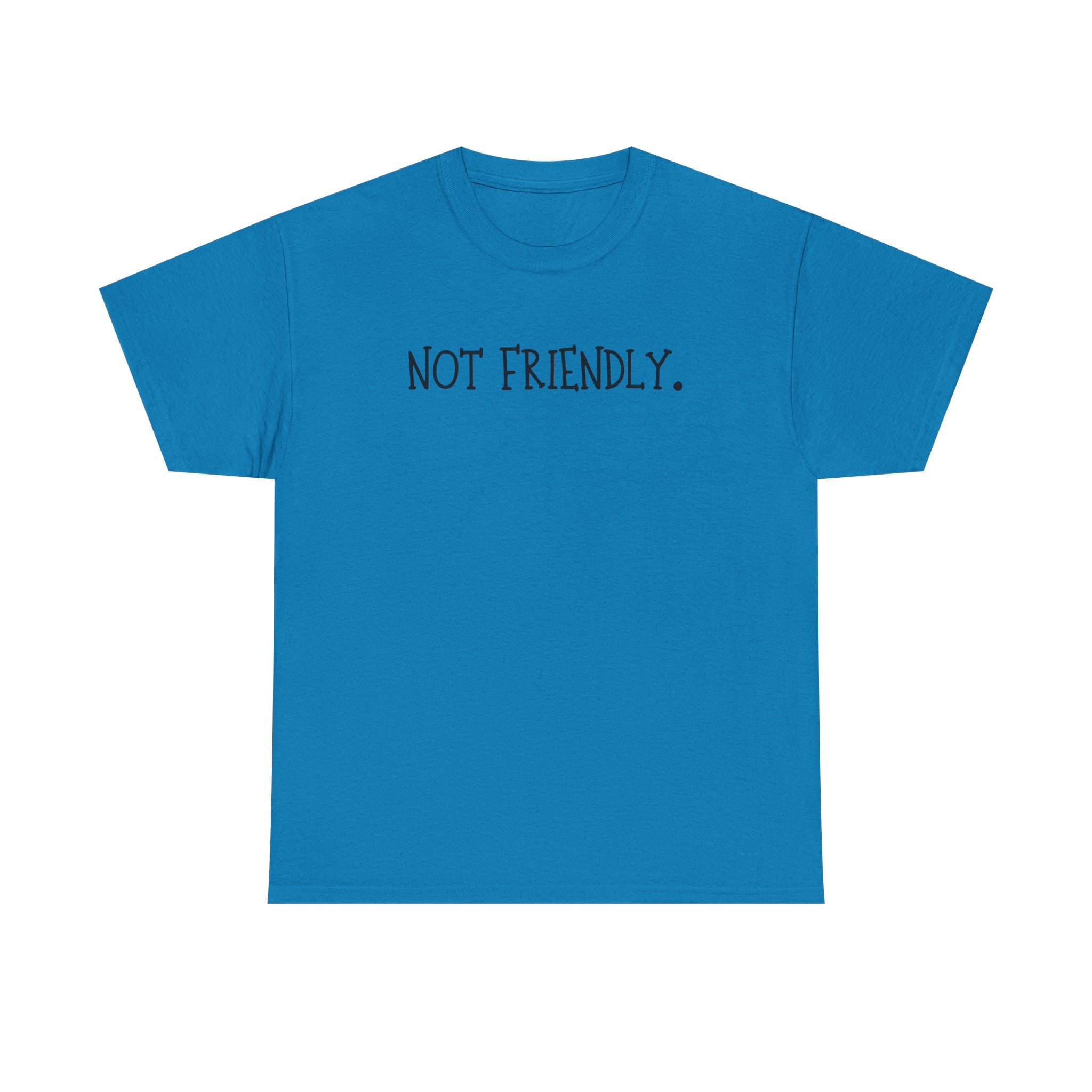 T-Shirt — "Not Friendly." Minimalist Statement Tee