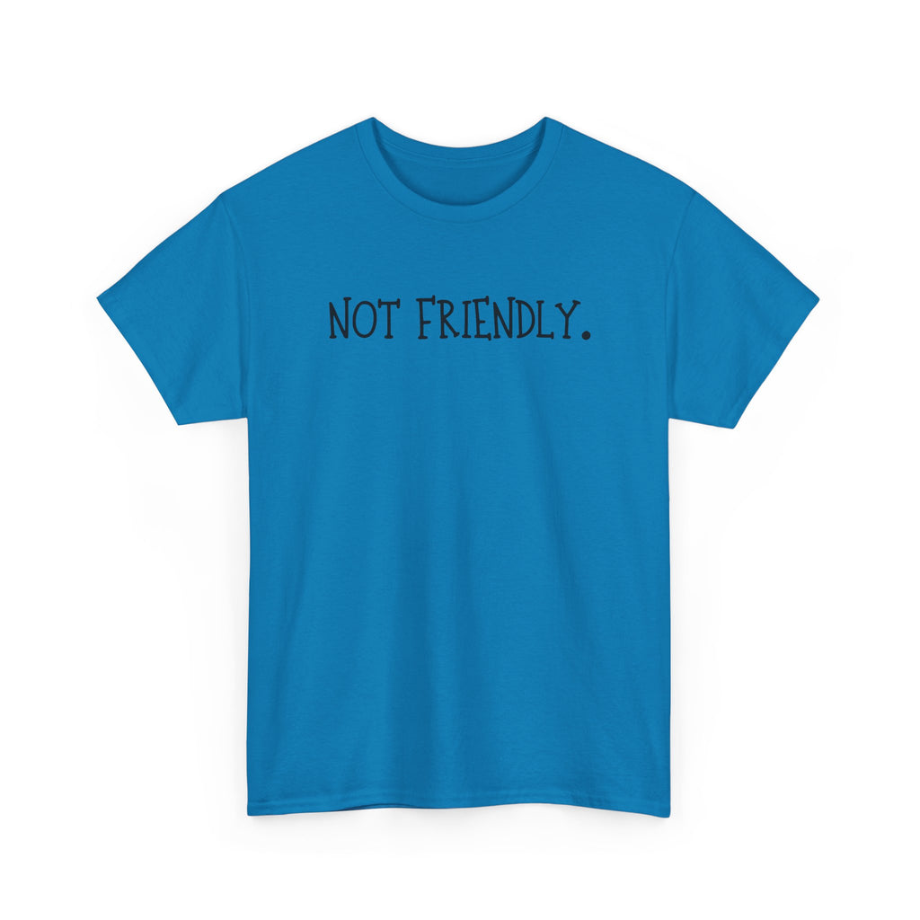 T-Shirt — "Not Friendly." Minimalist Statement Tee
