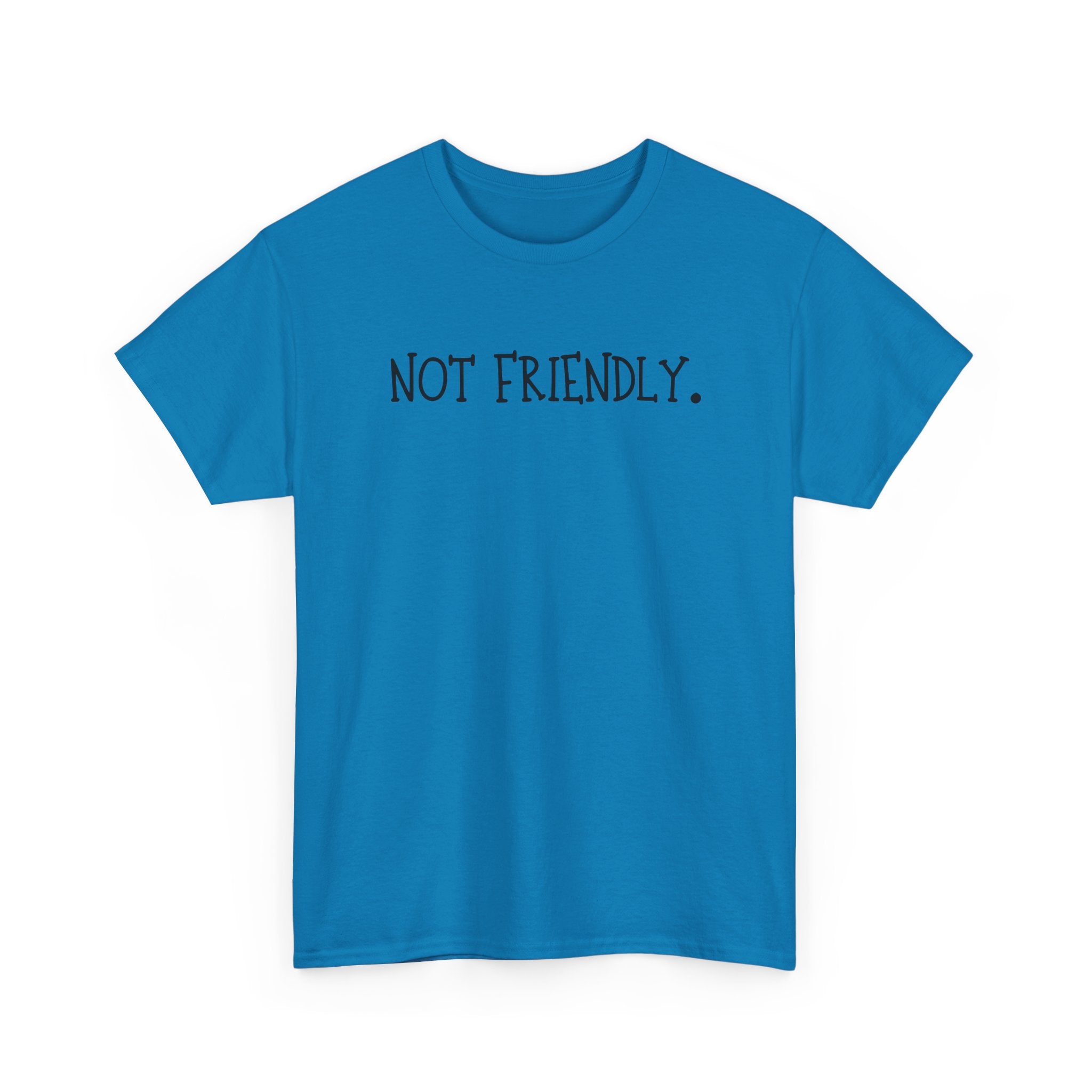 T-Shirt — "Not Friendly." Minimalist Statement Tee