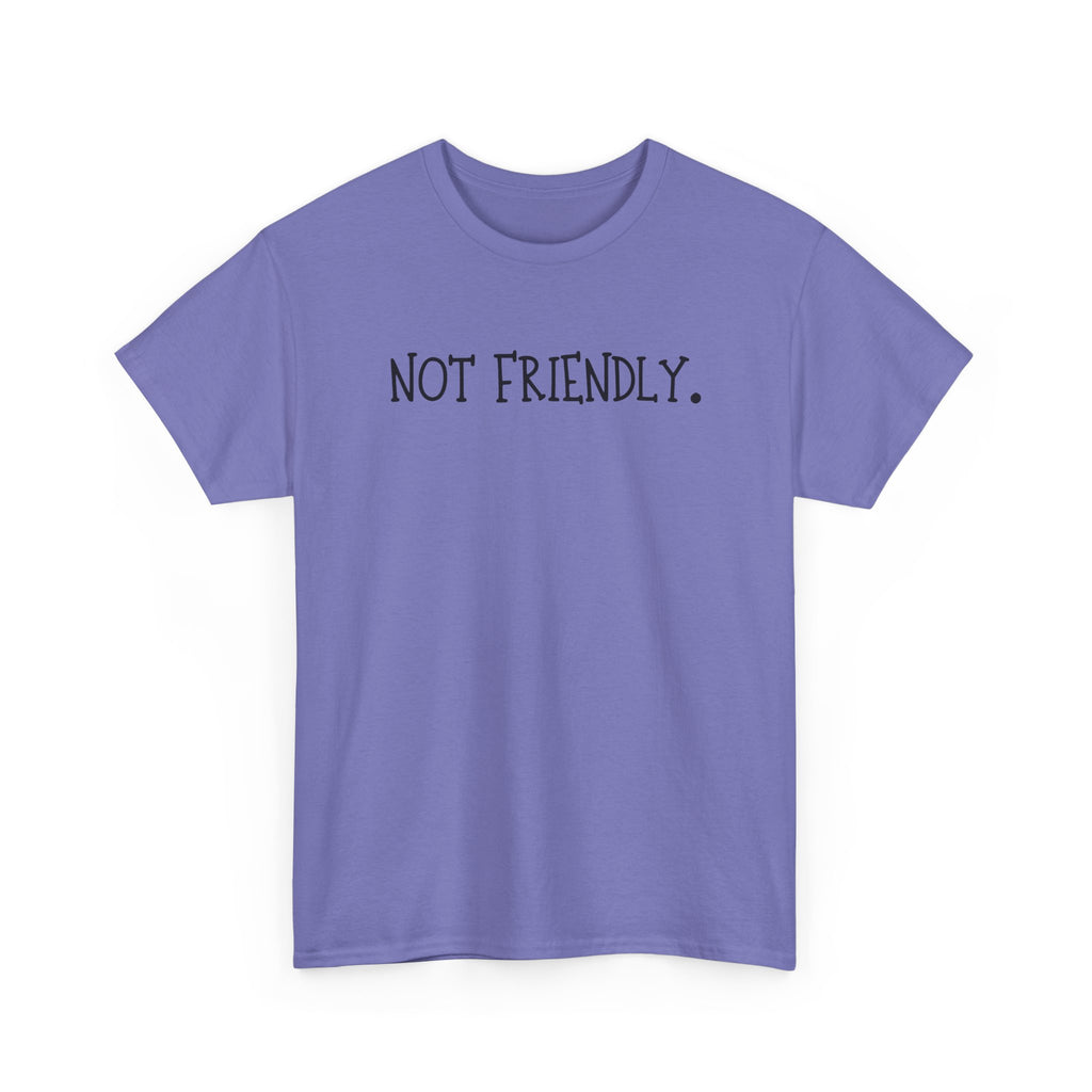 T-Shirt — "Not Friendly." Minimalist Statement Tee