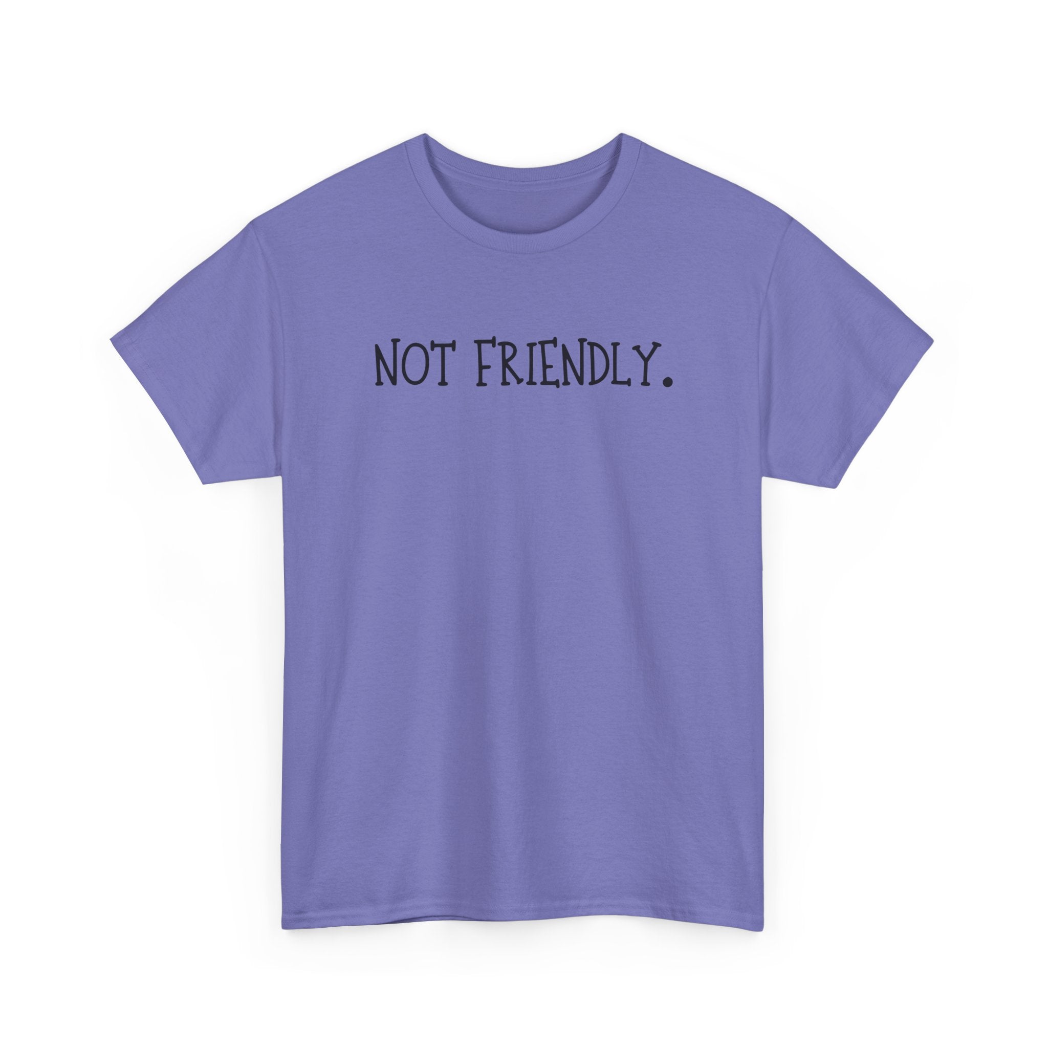 T-Shirt — "Not Friendly." Minimalist Statement Tee