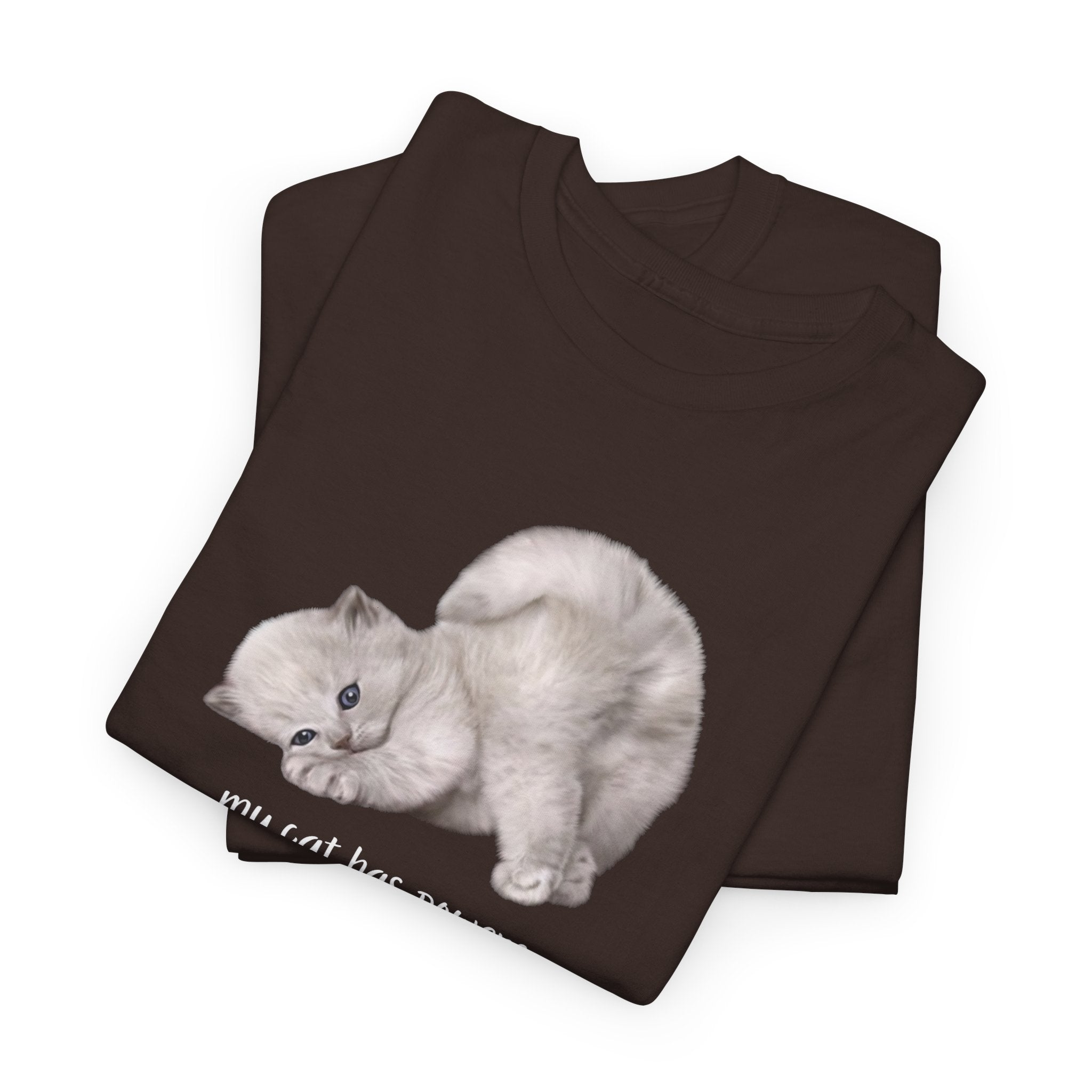 Cat T-Shirt – "My Cat Has Powers" Cute Stretching Cat Graphic Tee