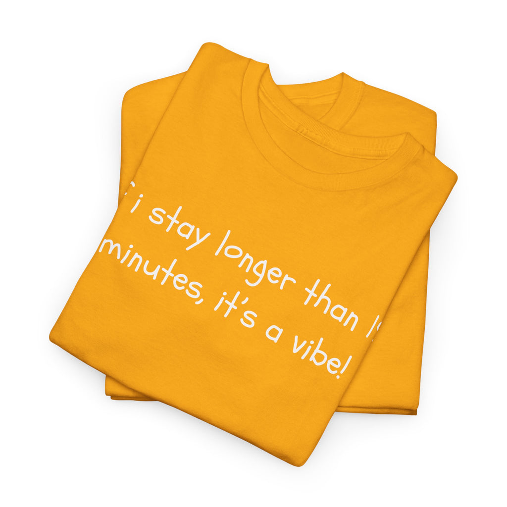 If I Stay Longer Than 15 Minutes It's a Vibe Tee — Funny Casual Graphic T-Shirt