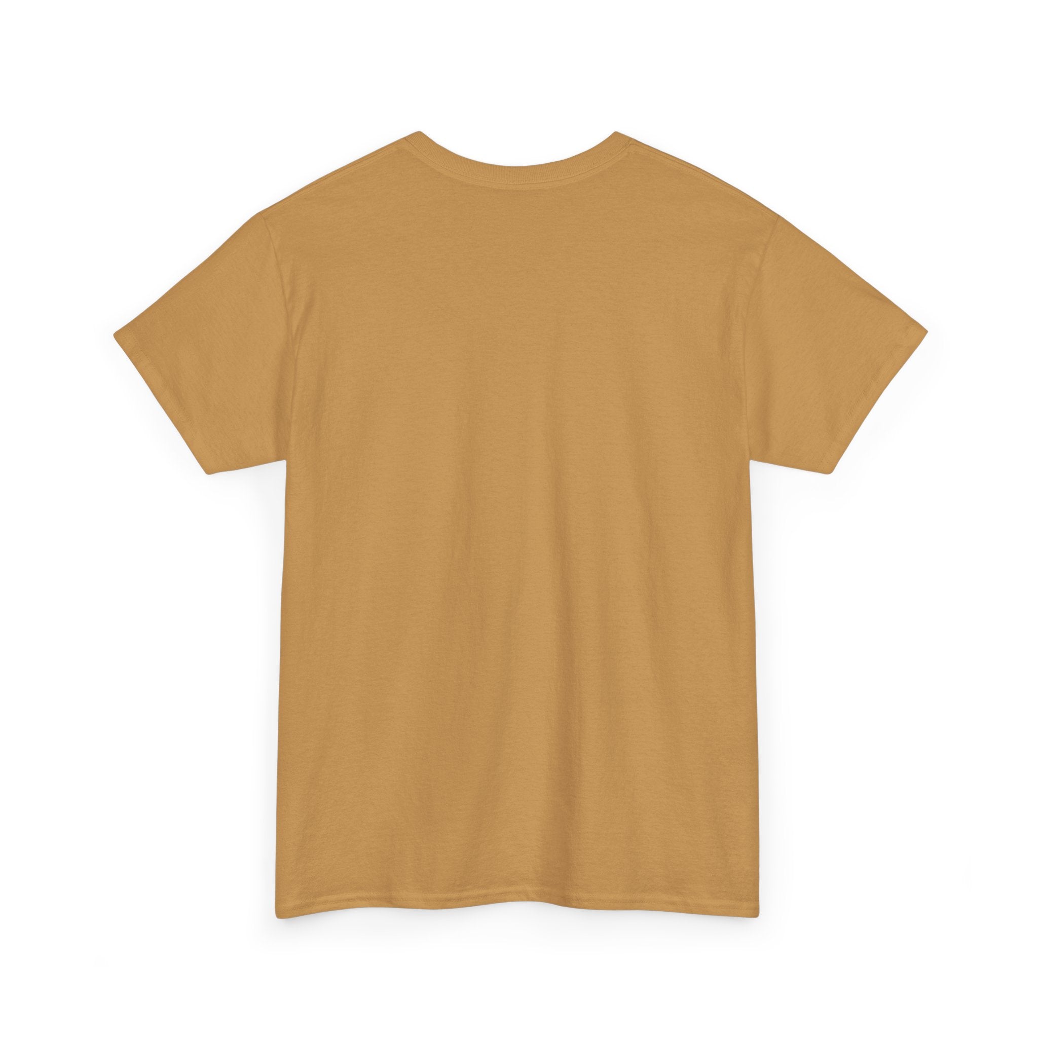 Cat Birthday Tee — "A Purr-fect Firecracker Was Born Today"