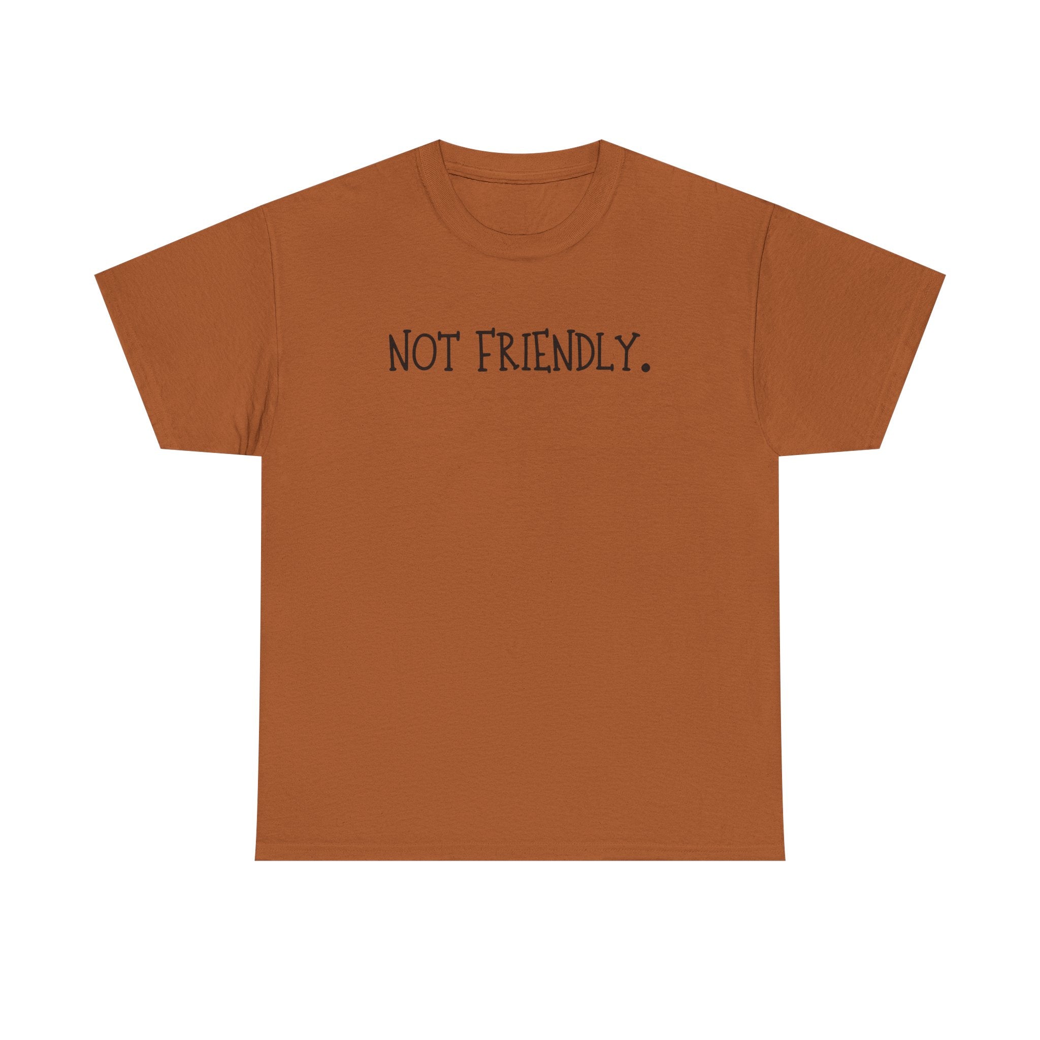 T-Shirt — "Not Friendly." Minimalist Statement Tee