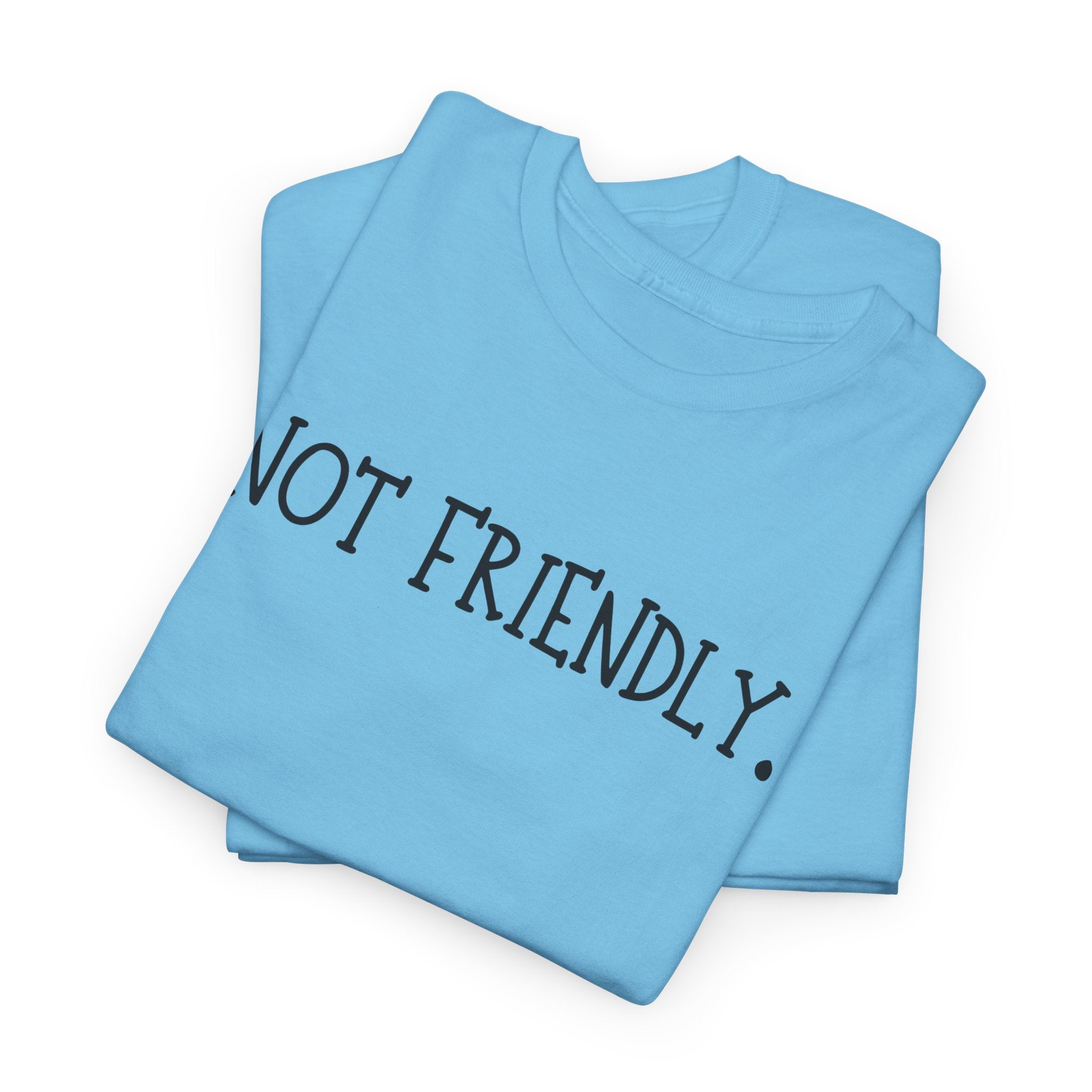 T-Shirt — "Not Friendly." Minimalist Statement Tee