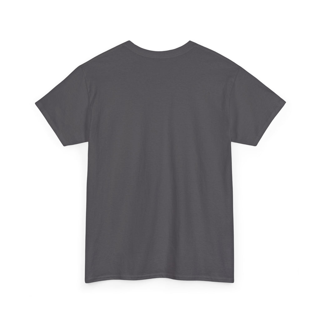 Cat Birthday Tee — "A Purr-fect Firecracker Was Born Today"