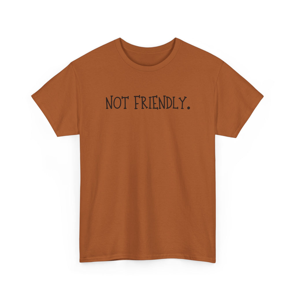 T-Shirt — "Not Friendly." Minimalist Statement Tee