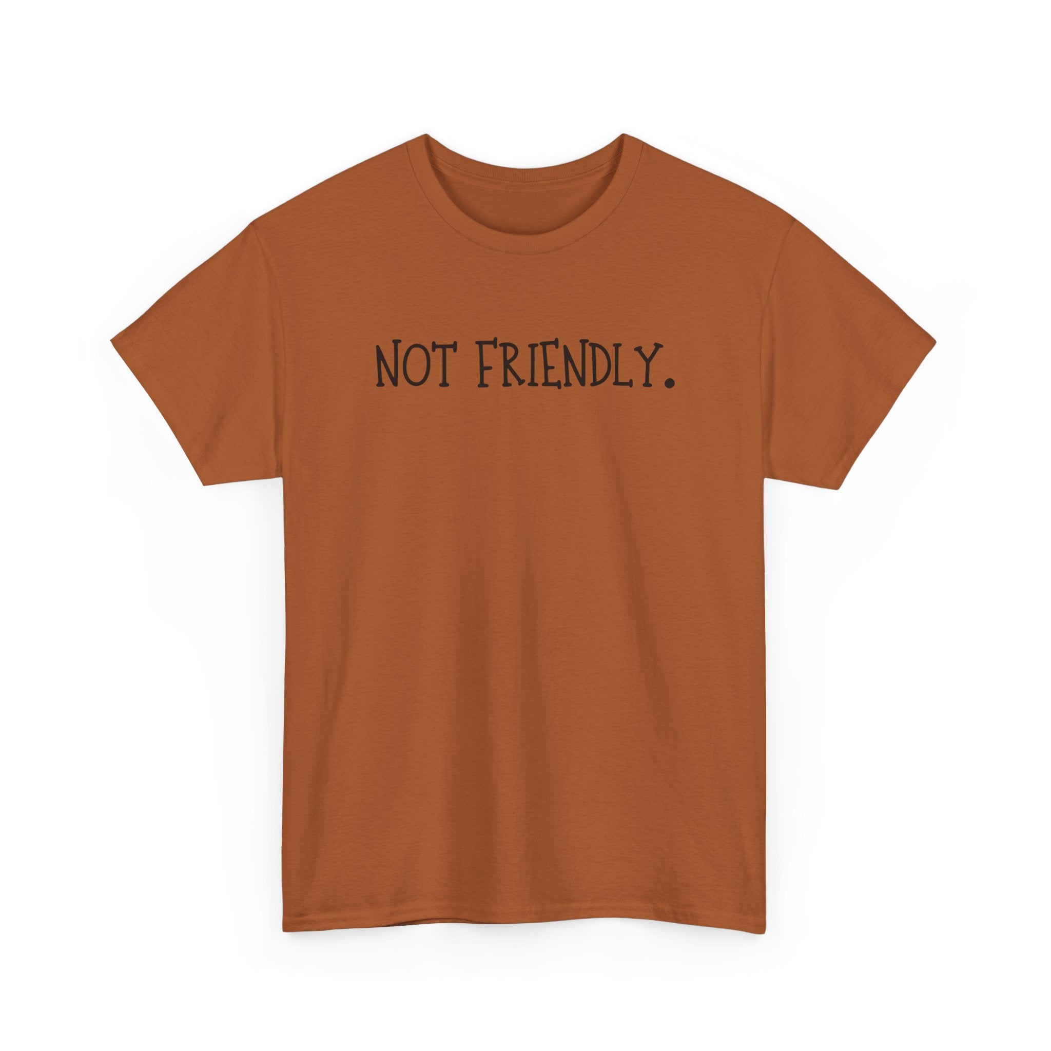 T-Shirt — "Not Friendly." Minimalist Statement Tee